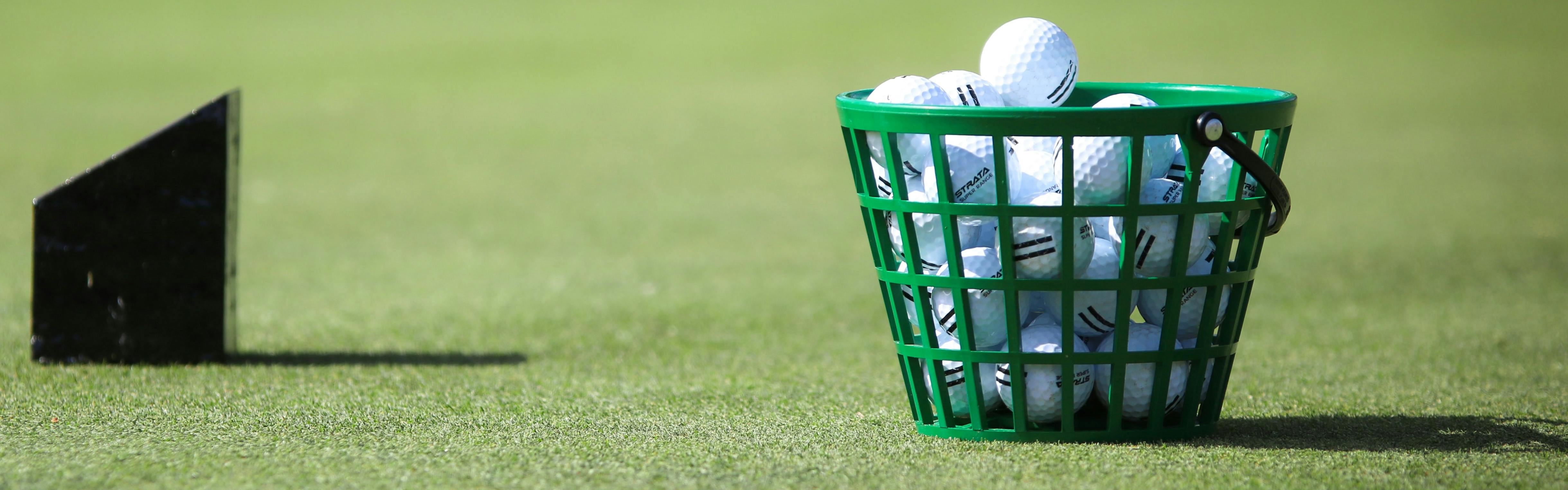 A green basket full of golf balls sits on green grass