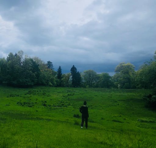 A person stands in a very green field under cloudy skies