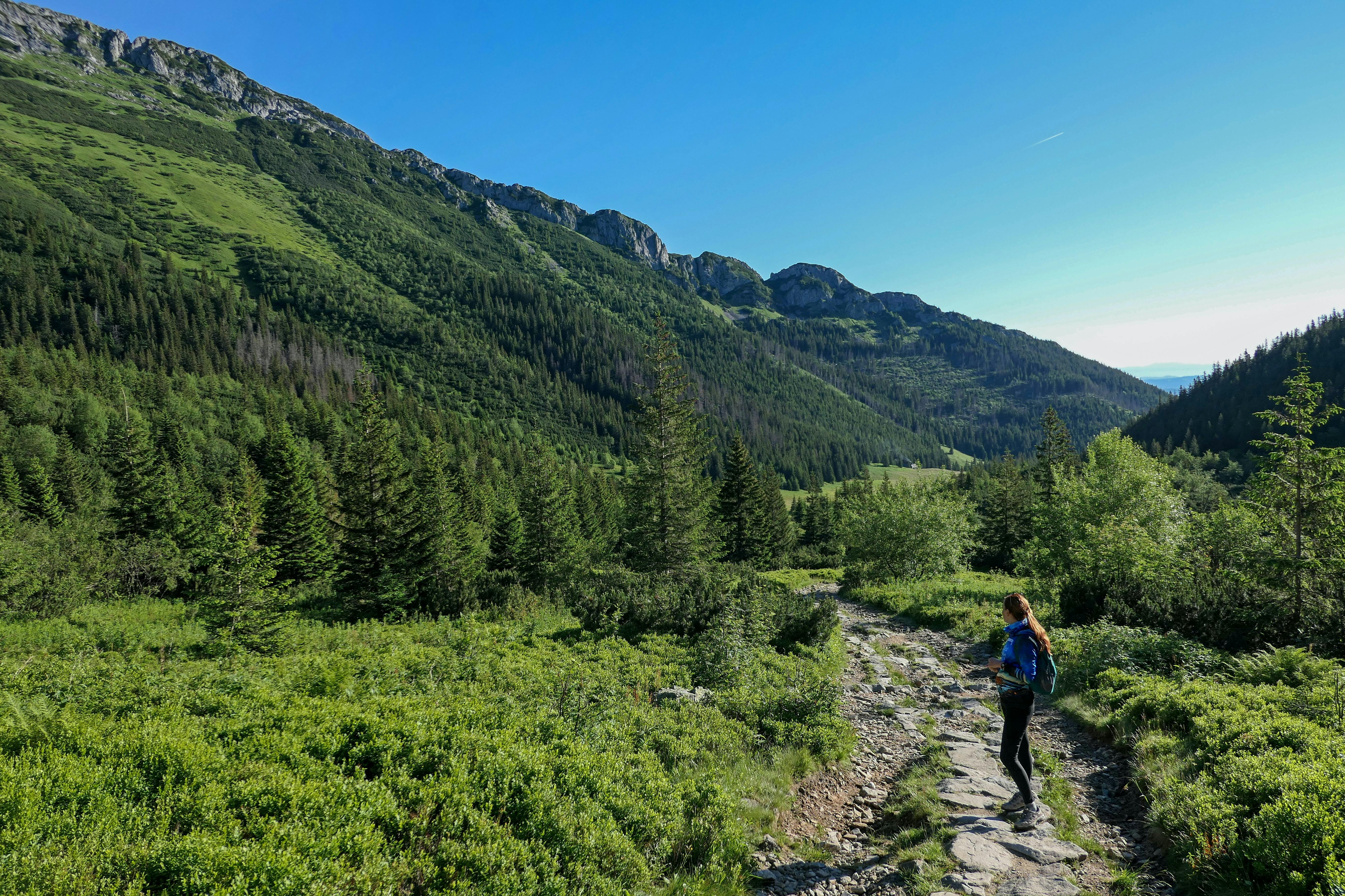 A rocky trail travels down the right side of the photo. The surroundings are green and lush with a bright blue sky behind them.