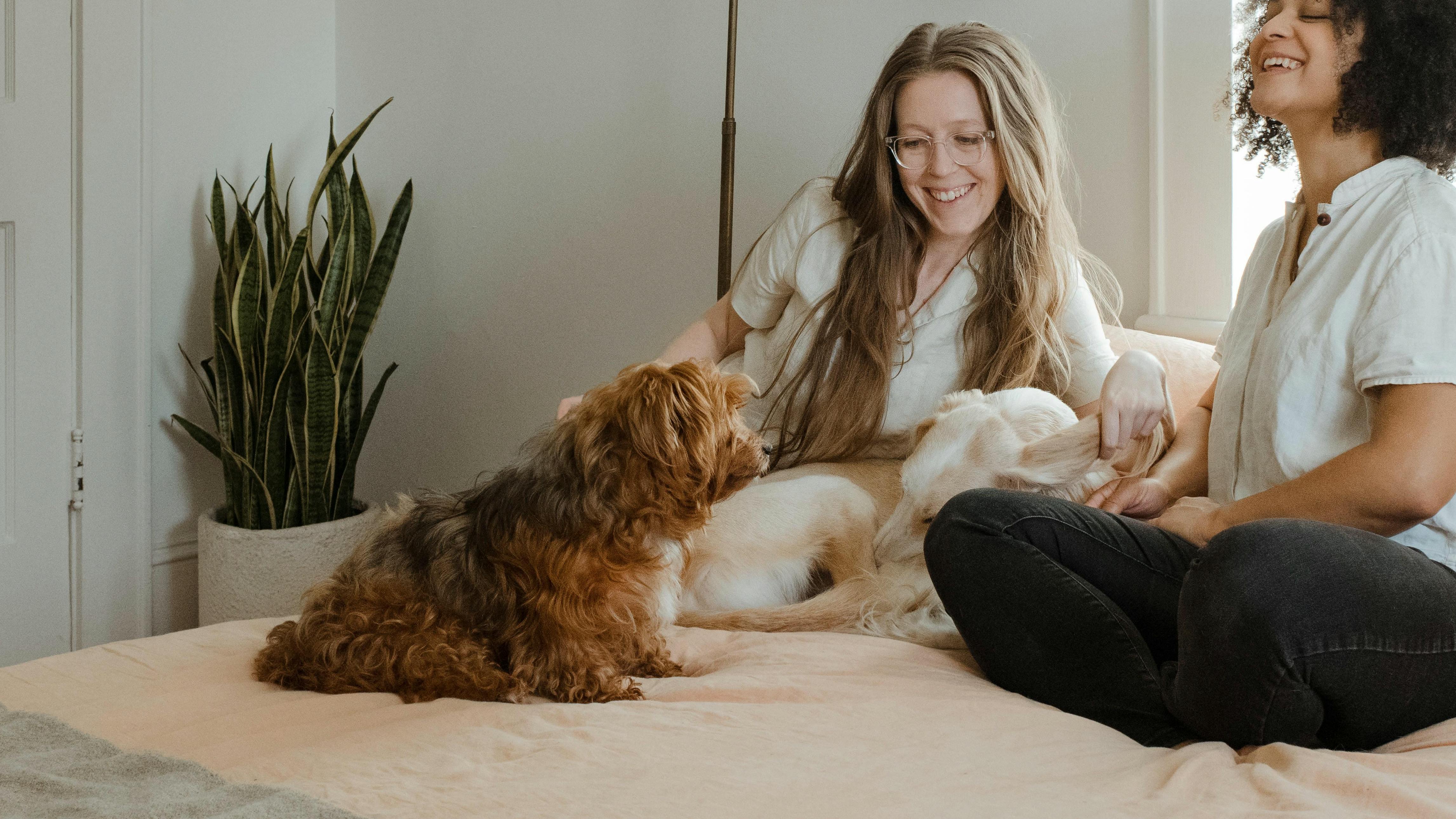 Two women sitting on a bed petting two dogs. 