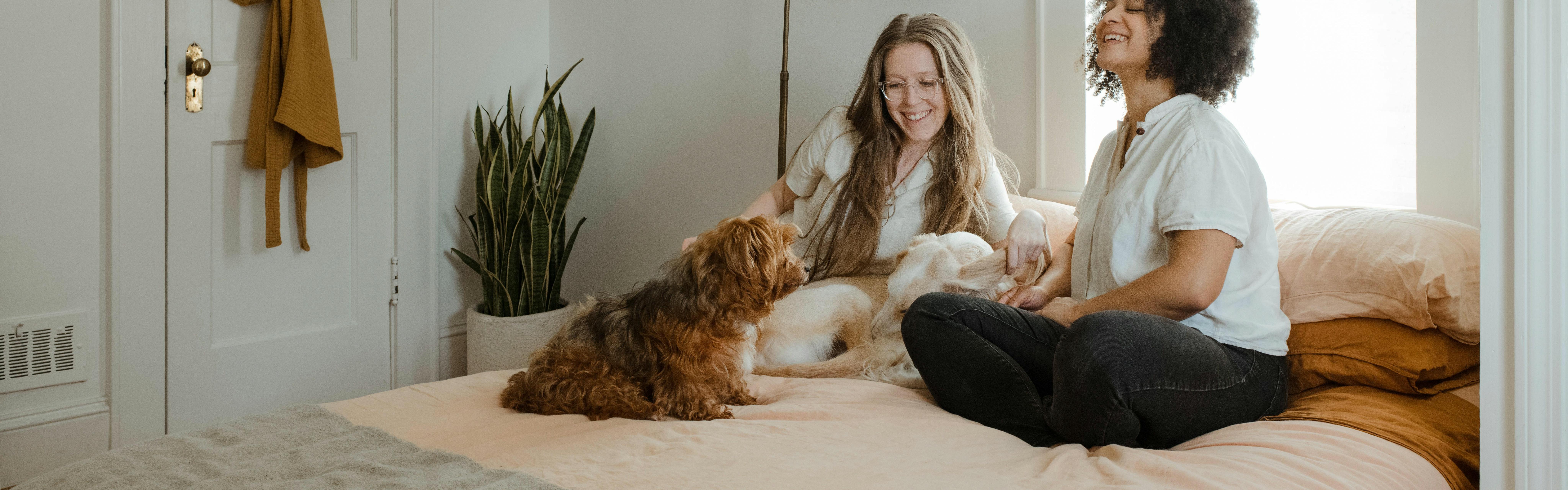 Two women sitting on a bed petting two dogs. 