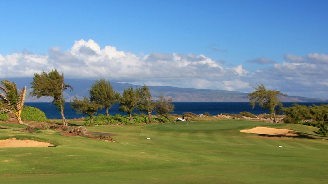 A Maui golf course with palm trees and the ocean