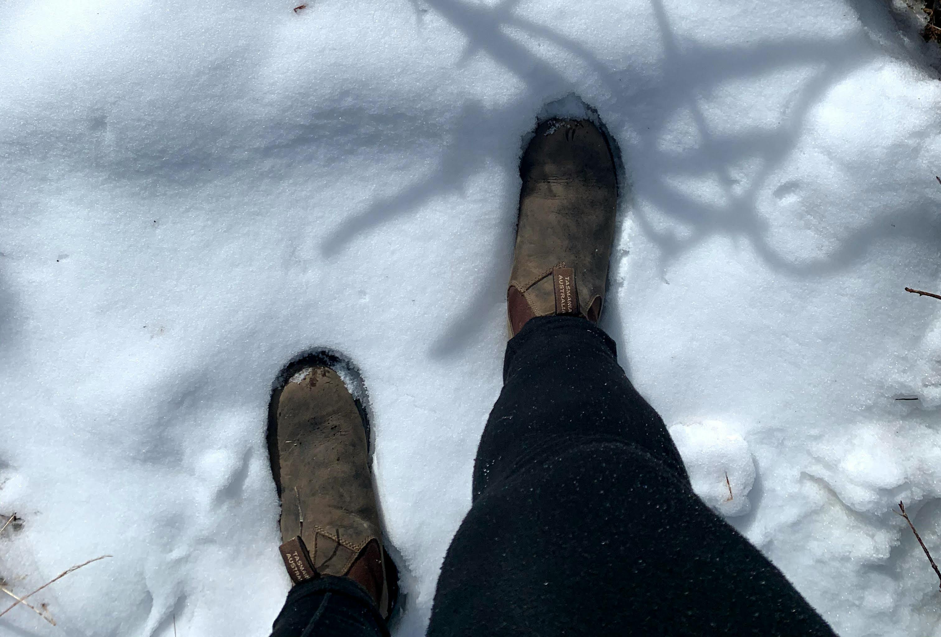 The author stands in her Blundstones in shallow snow.