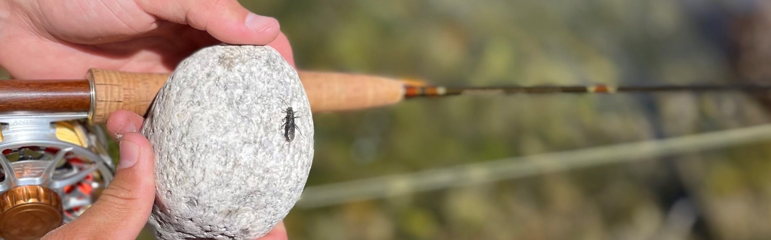An Expert Guide to Ultralight Fly Fishing