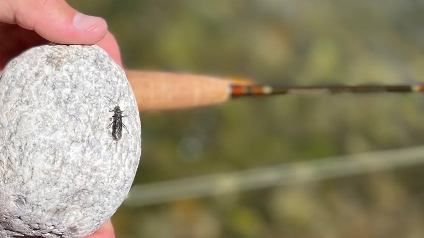 A fly sits on a rock that is held by a fisherman who is also holding a fishing rod. 
