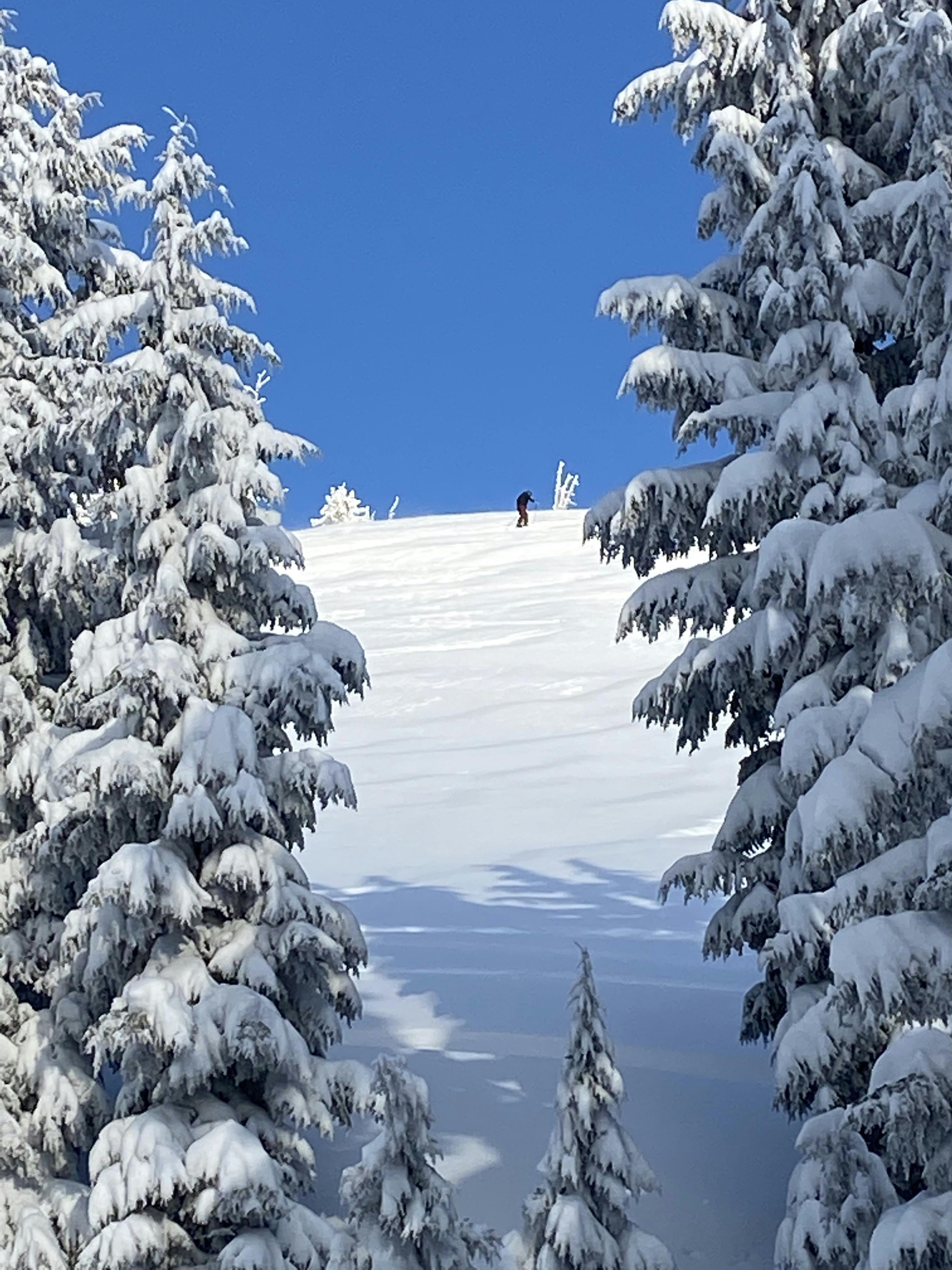 A skier walking up a hill. 