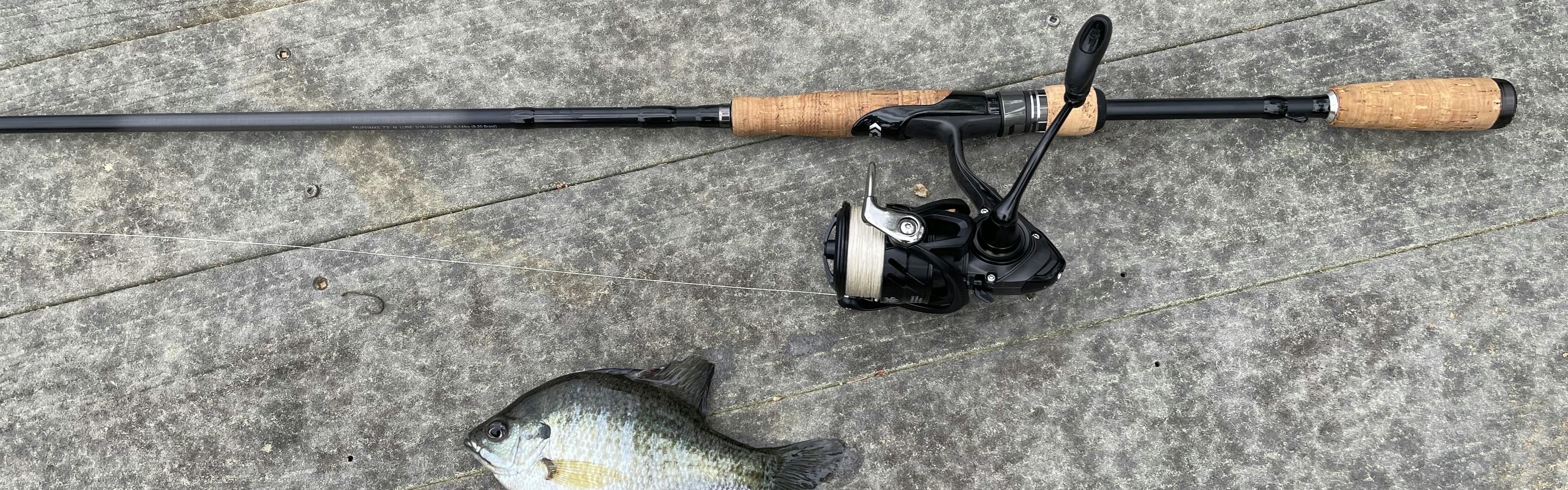 A fishing rod lies next to a fish on a dock.