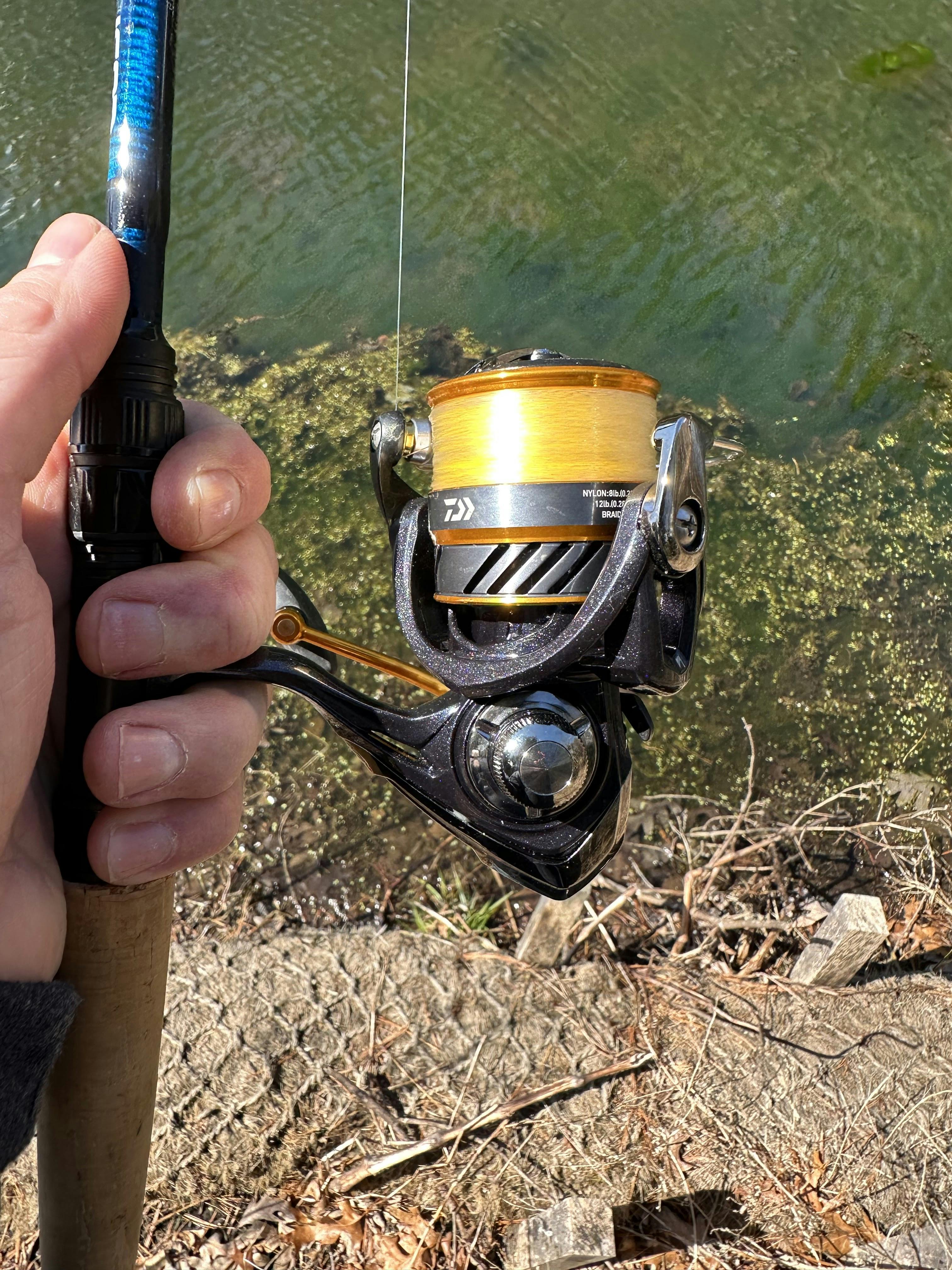 Expert Review: Daiwa Revros LT Spinning Reel | Curated.com