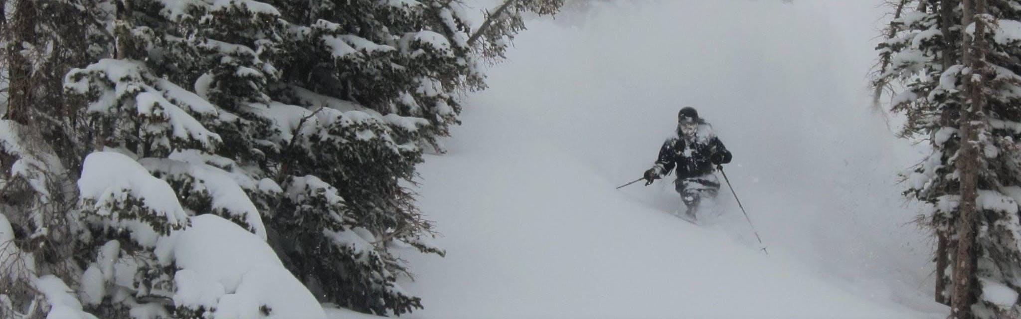 A skier turning in deep powder. 
