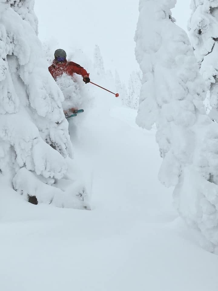 A skier turning through snowy trees.