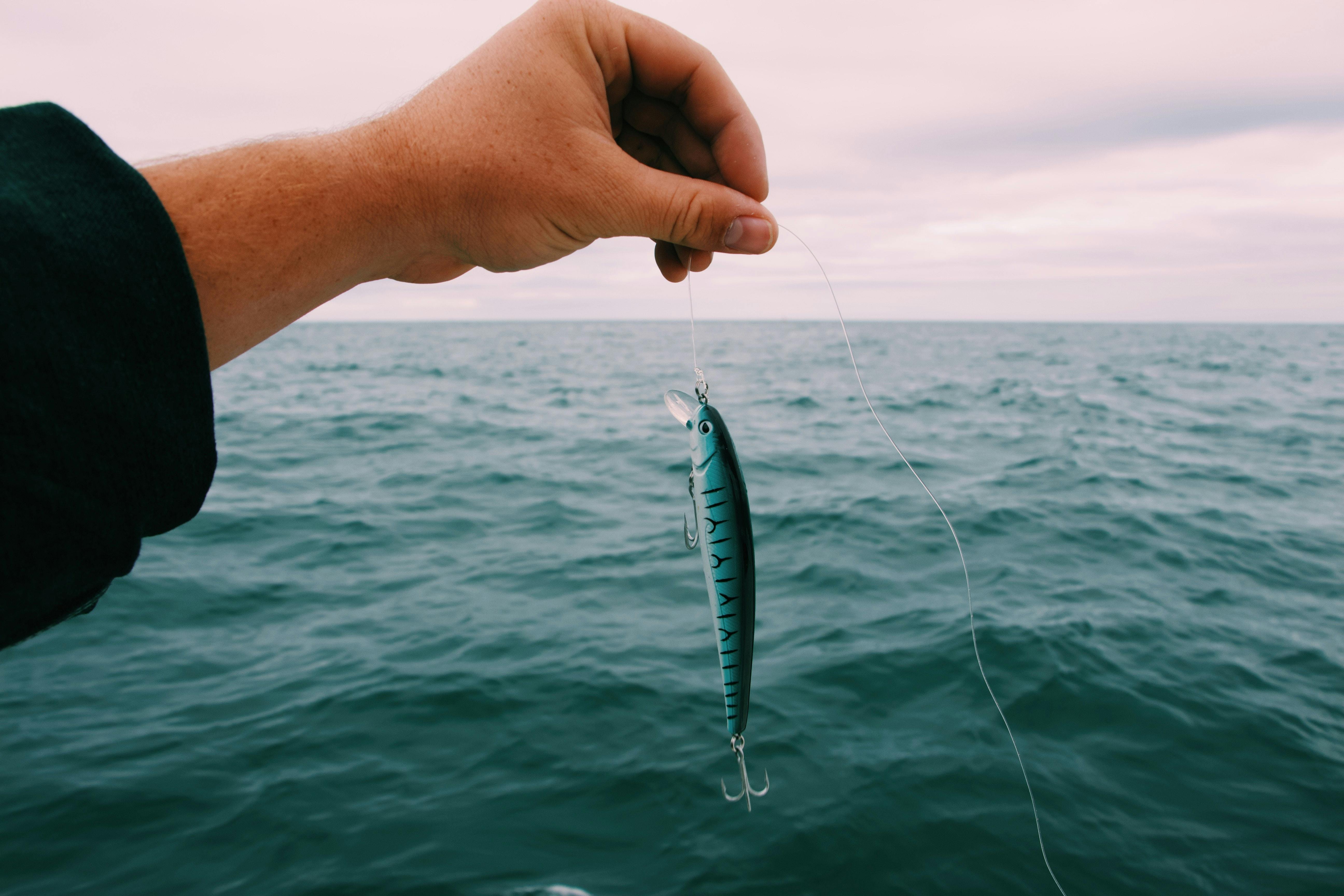 A hand holding a fish on a line over water. 