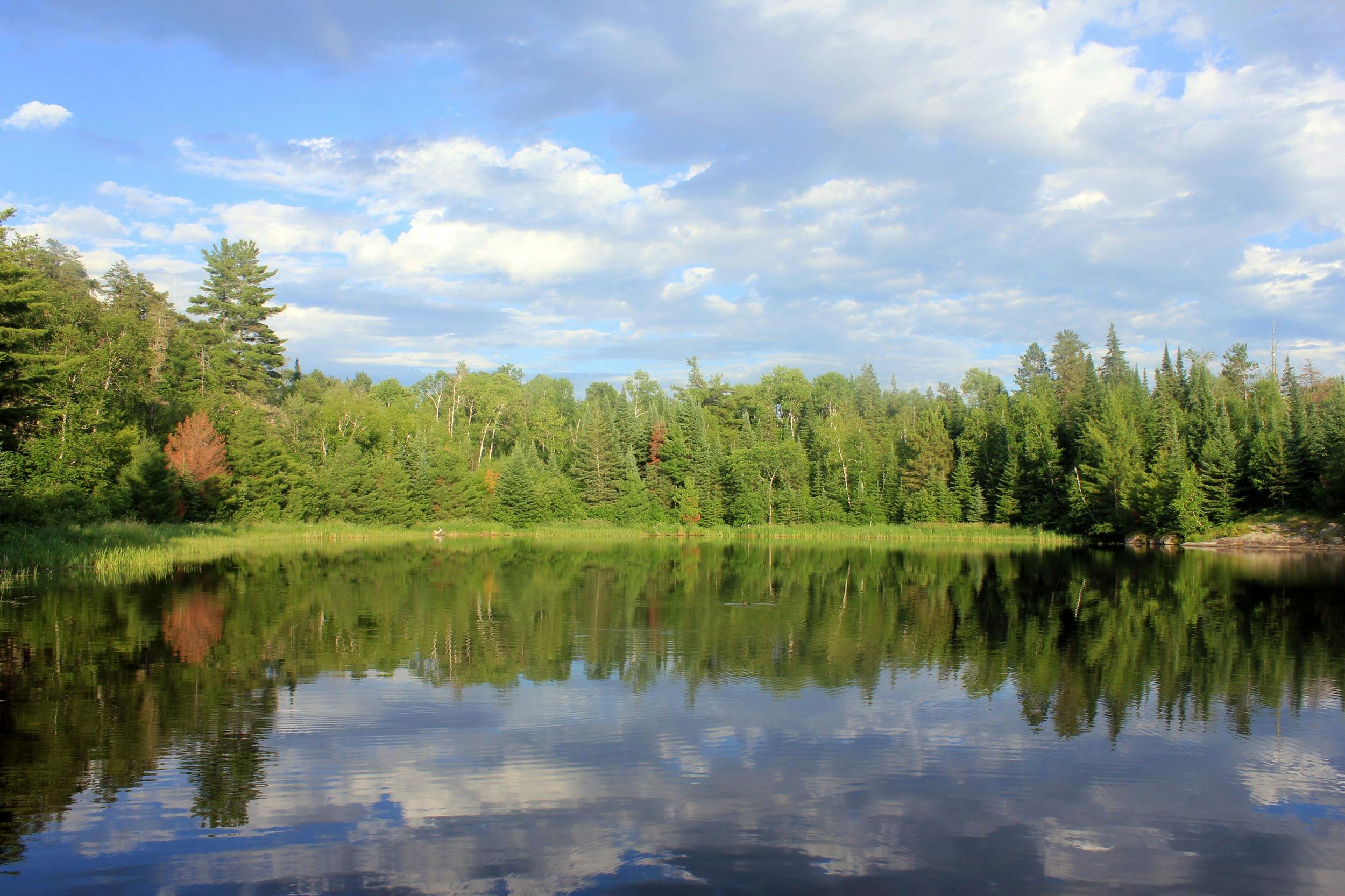 A lake in Voyageurs National Park reflecting the trees on its shore and the blue sky above.