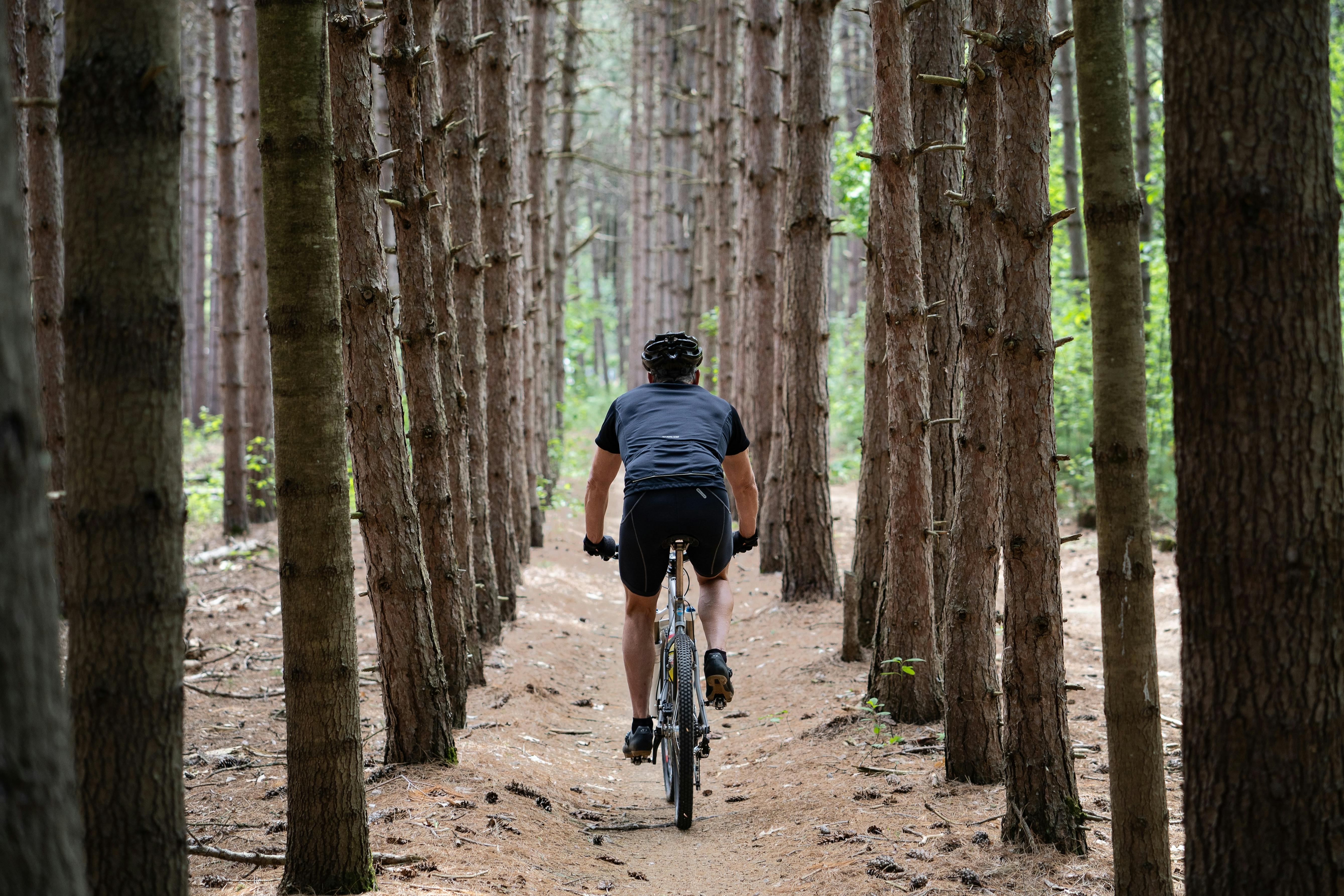 A man cycles away from the camera throw rows of trees