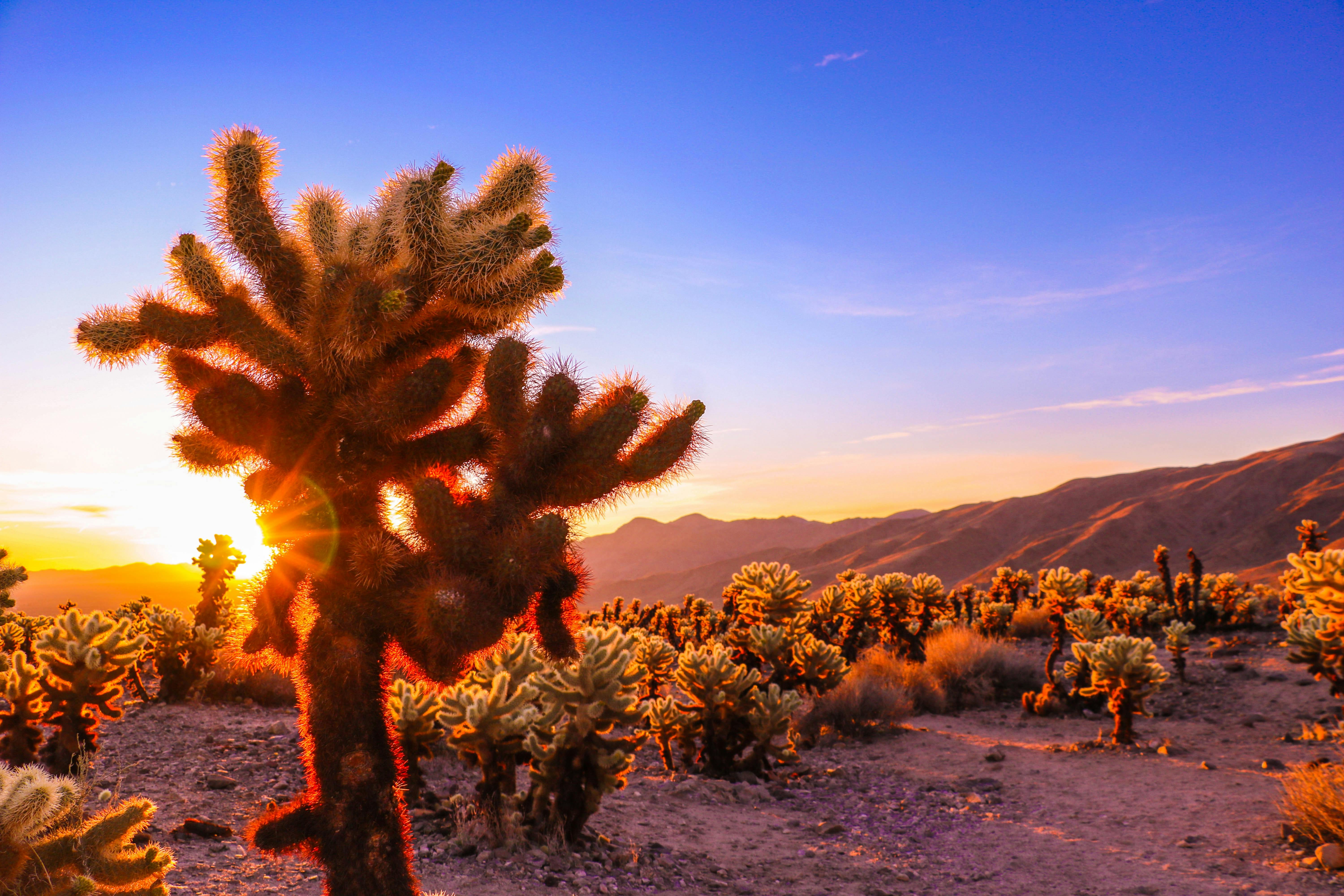 A dramatic sunrise over the desert landscape