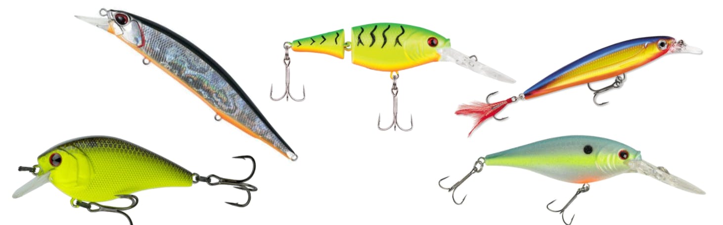Fishing Lures 101: The Different Lure Types and How to Choose