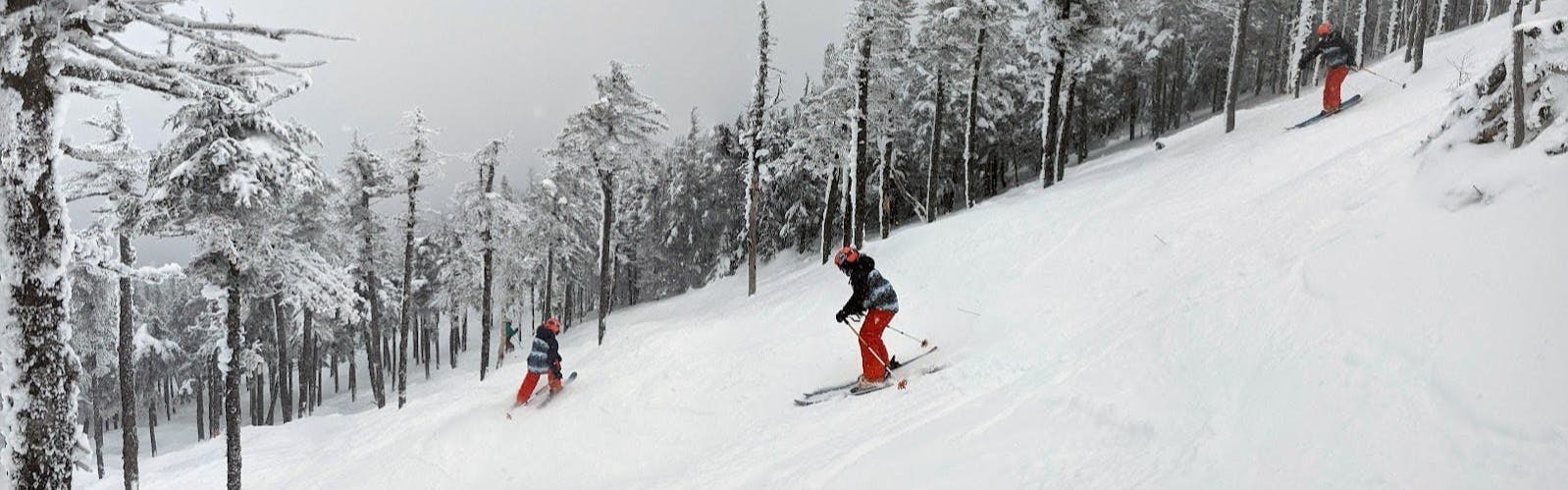 Two skiers turning down a snowy run with several trees.