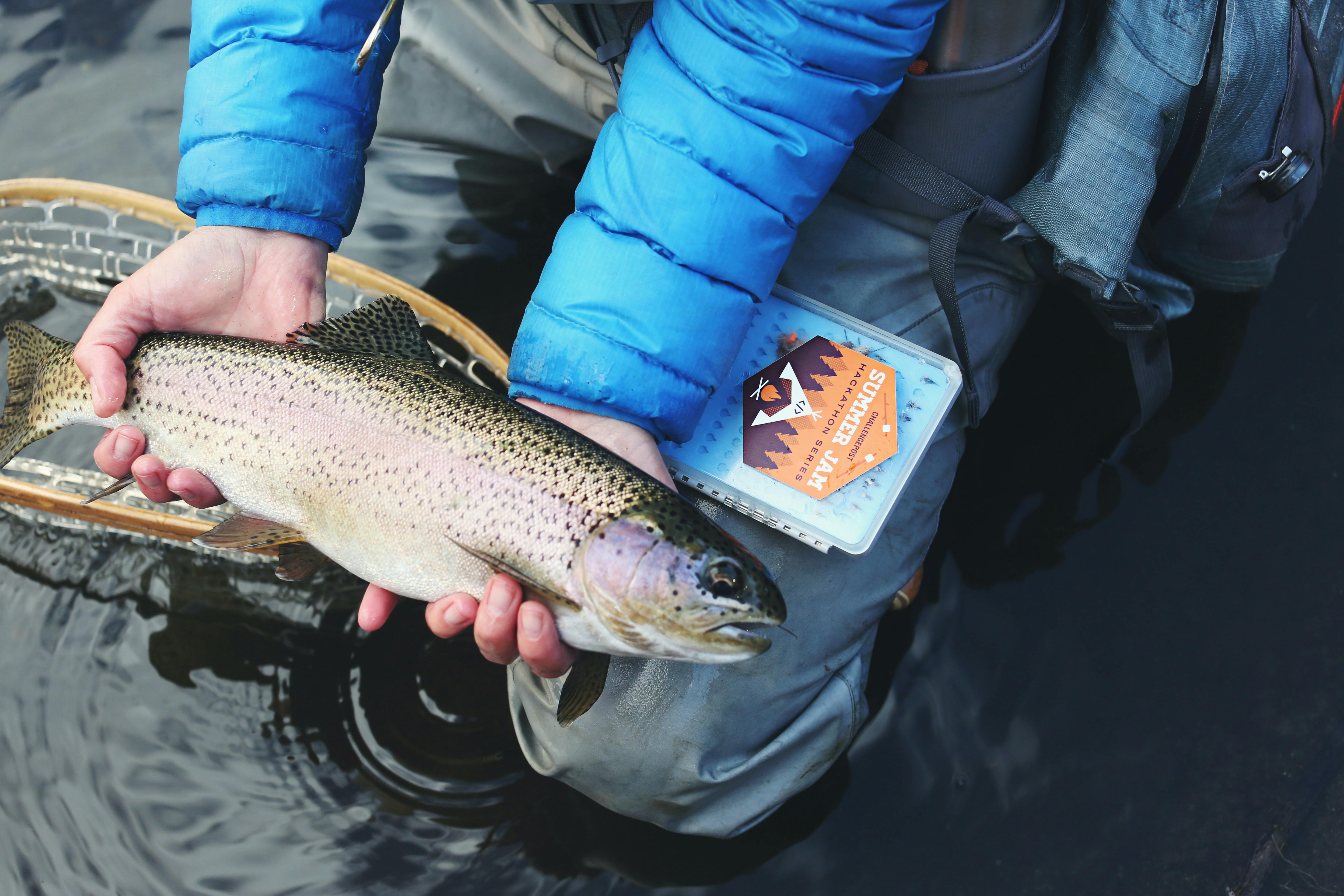 An Expert Guide to Catch and Release Fly Fishing: Gear and Techniques for  Successful Outings