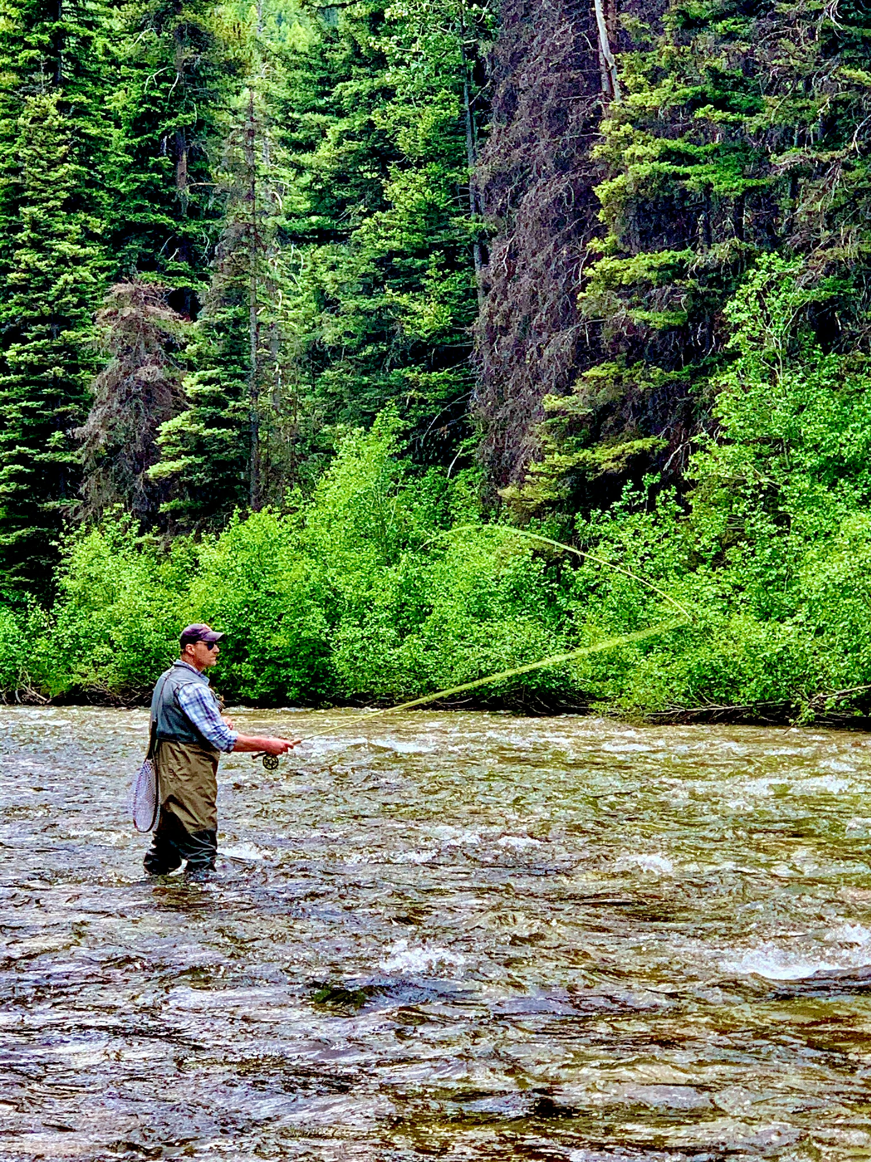 A fisherman standing in a river. 