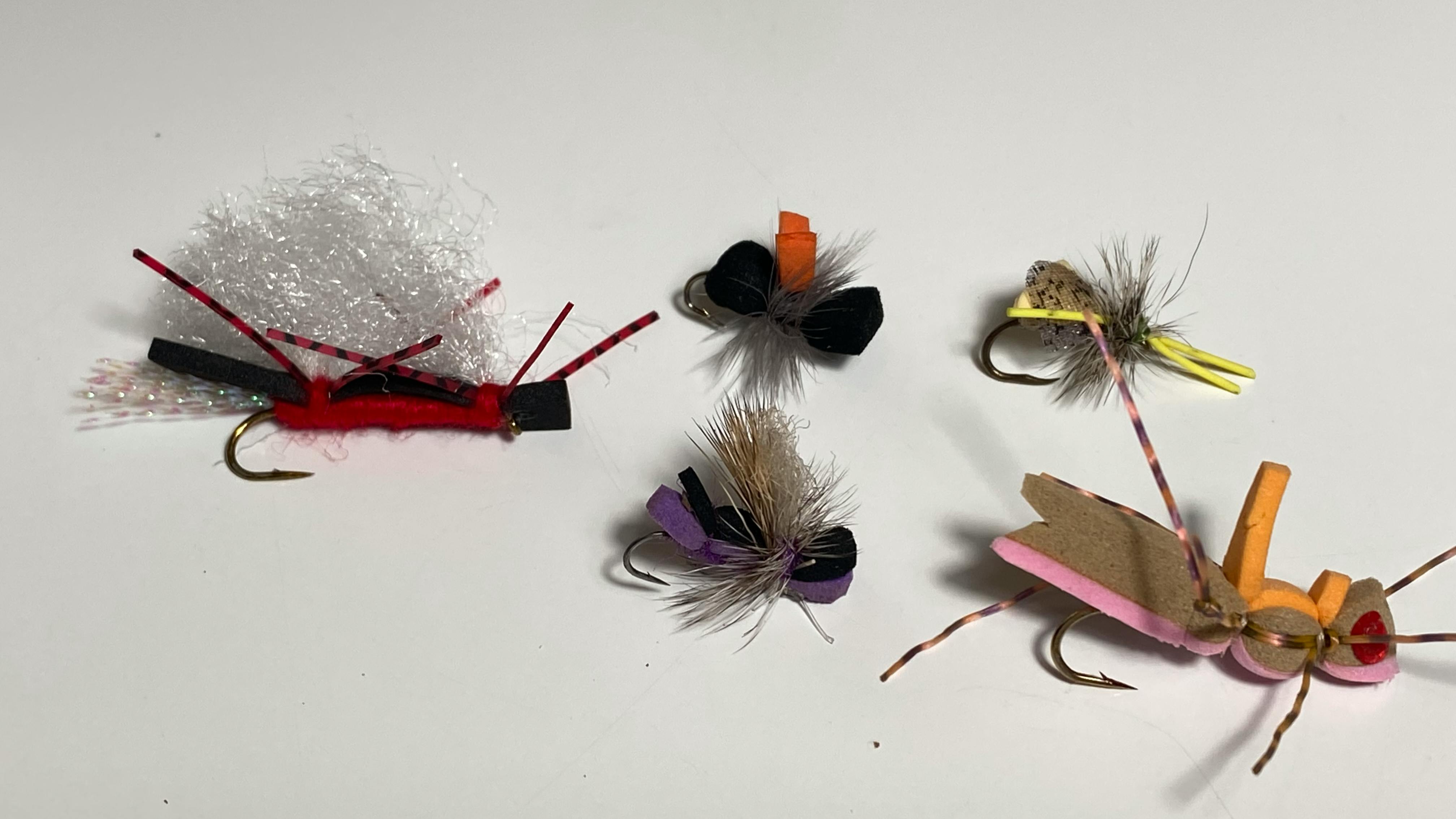 Fly Fishing Entomology: The Kinds of Insects, Bugs, and Flies You Need to  Know
