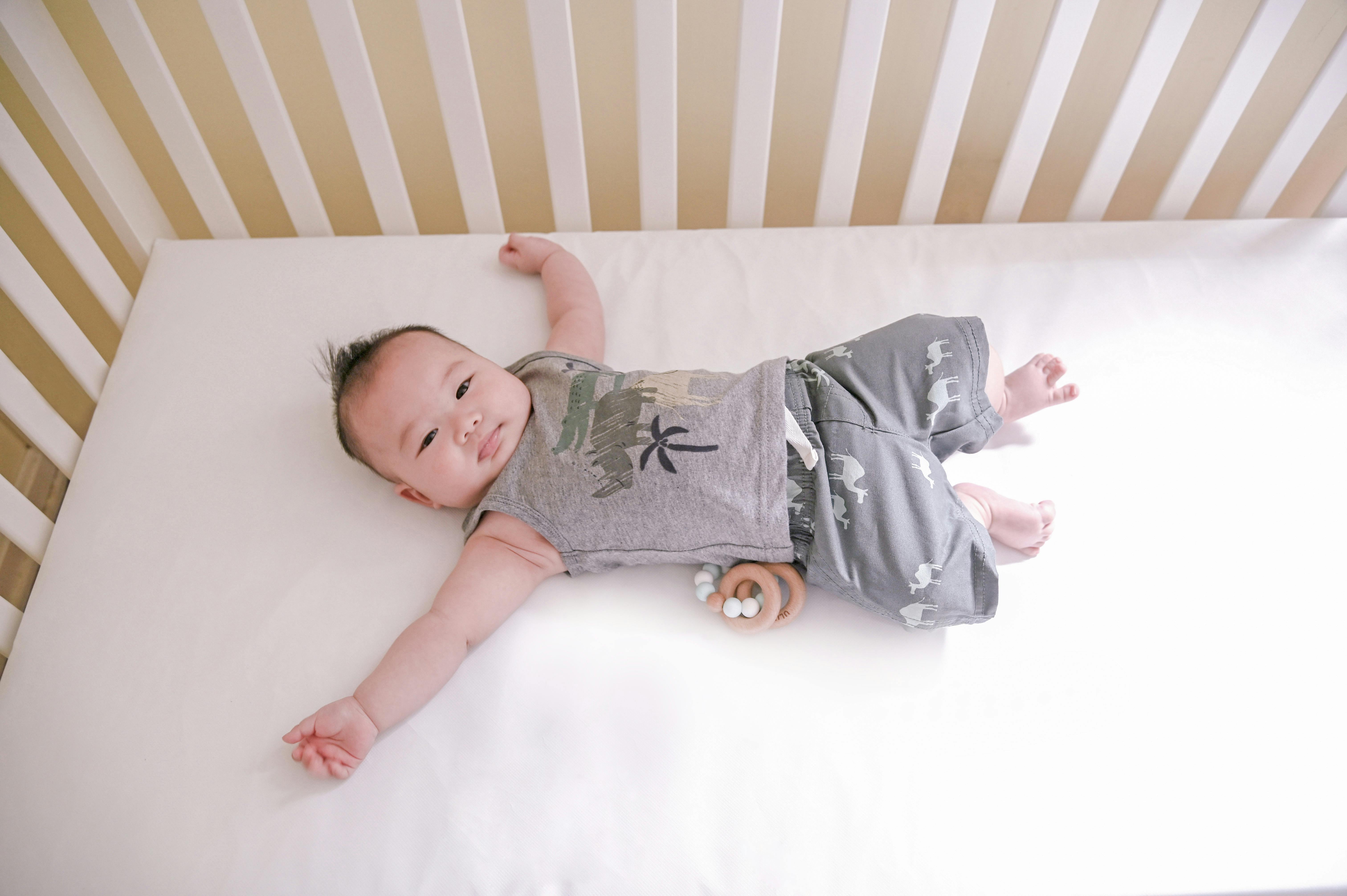 Naturepedic Lullaby Earth Healthy Support Crib Mattress