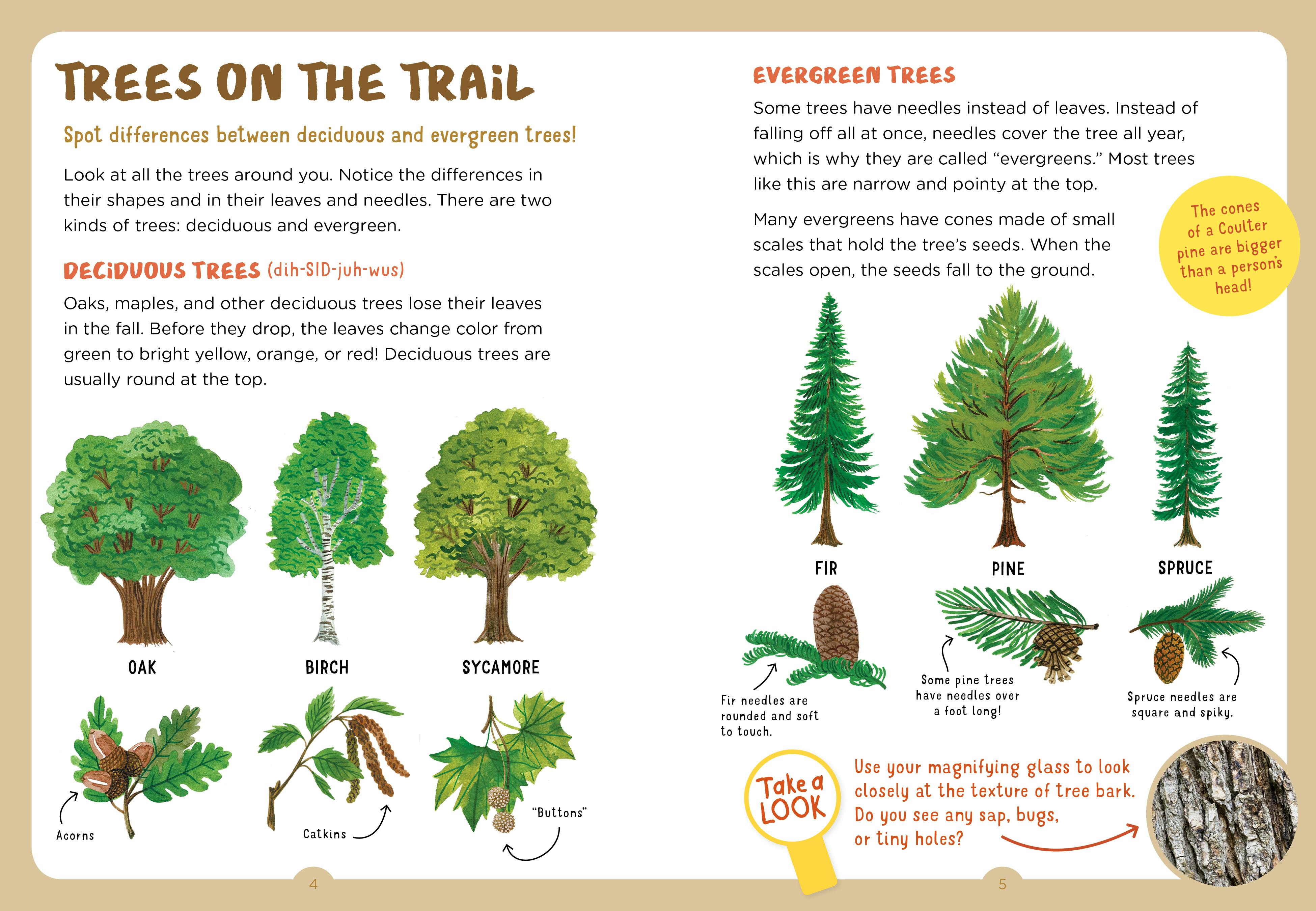 Workman Publishing Backpack Explorer: On the Nature Trail