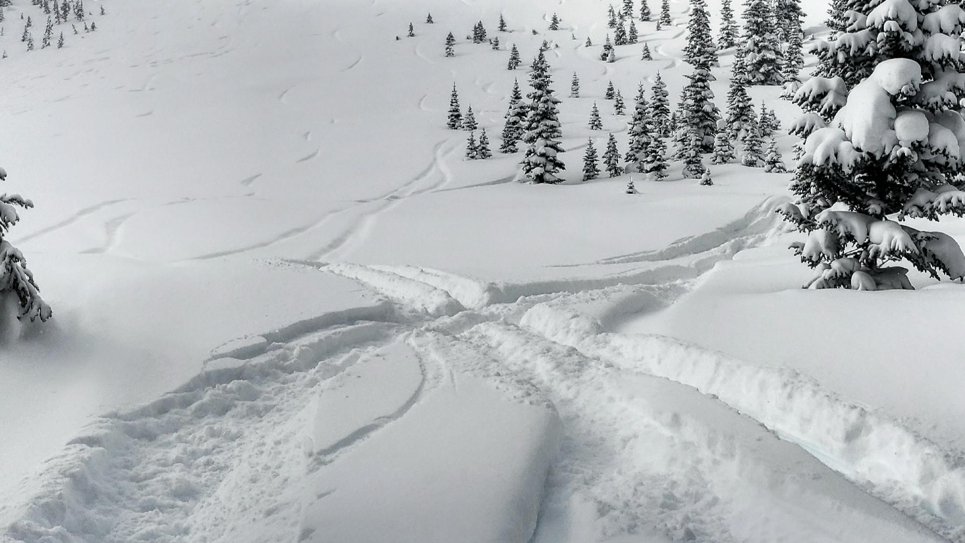 Tracks left by skiers and snowboarders through fresh powder