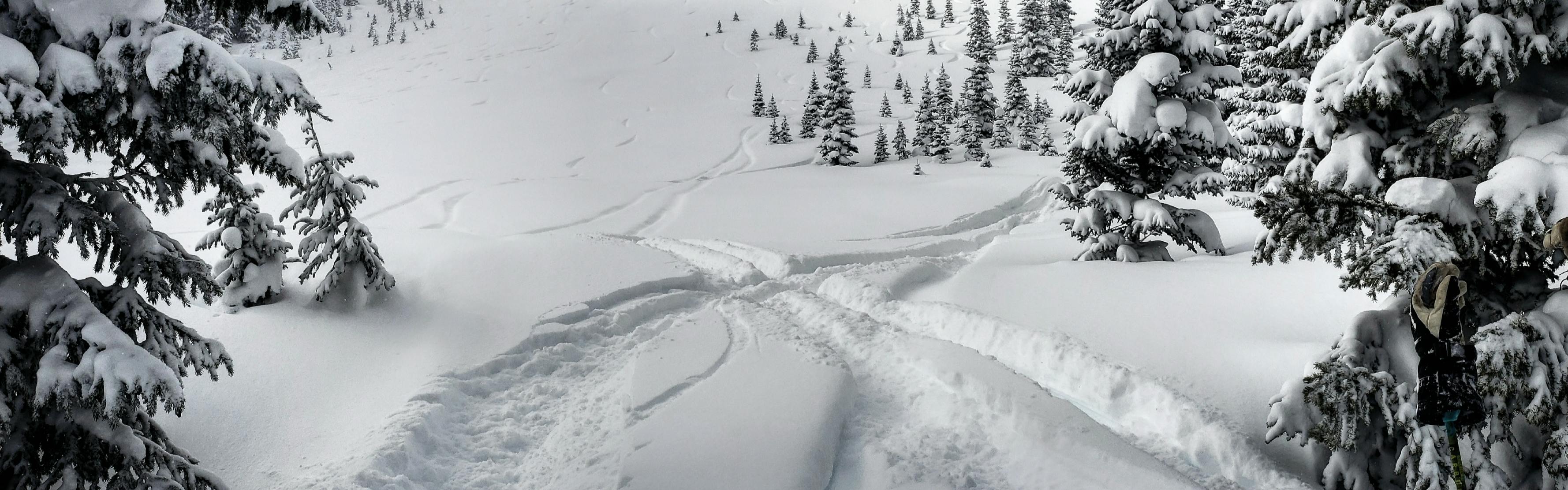 Tracks left by skiers and snowboarders through fresh powder