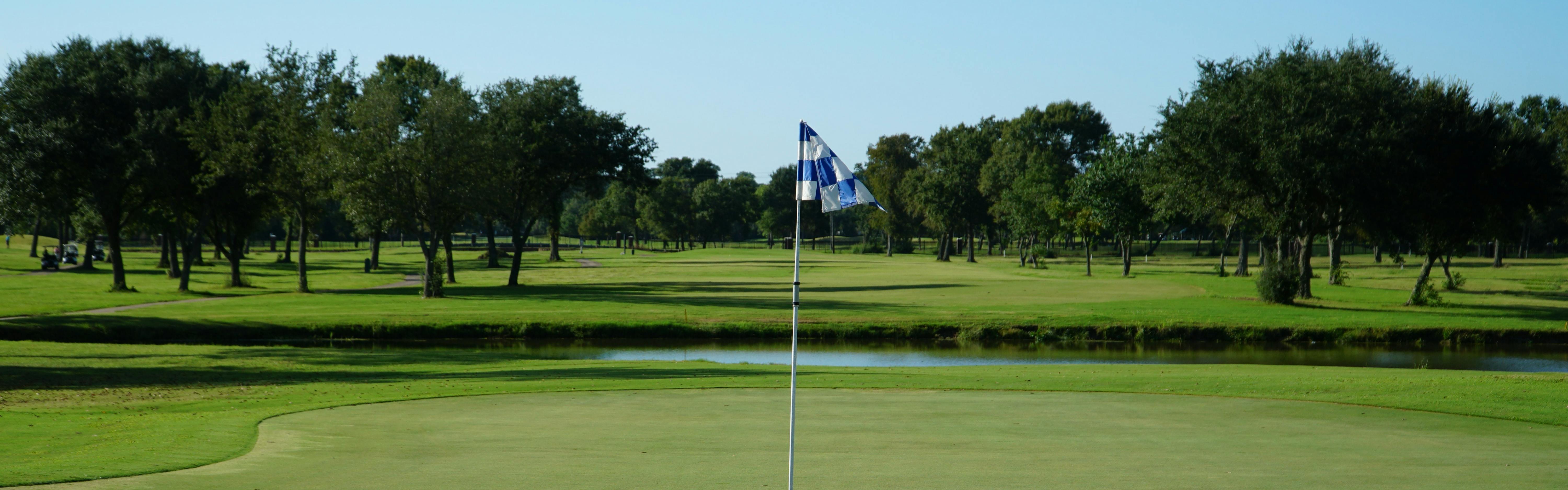 A blue-and-white checkered flag waves on a golf course. 