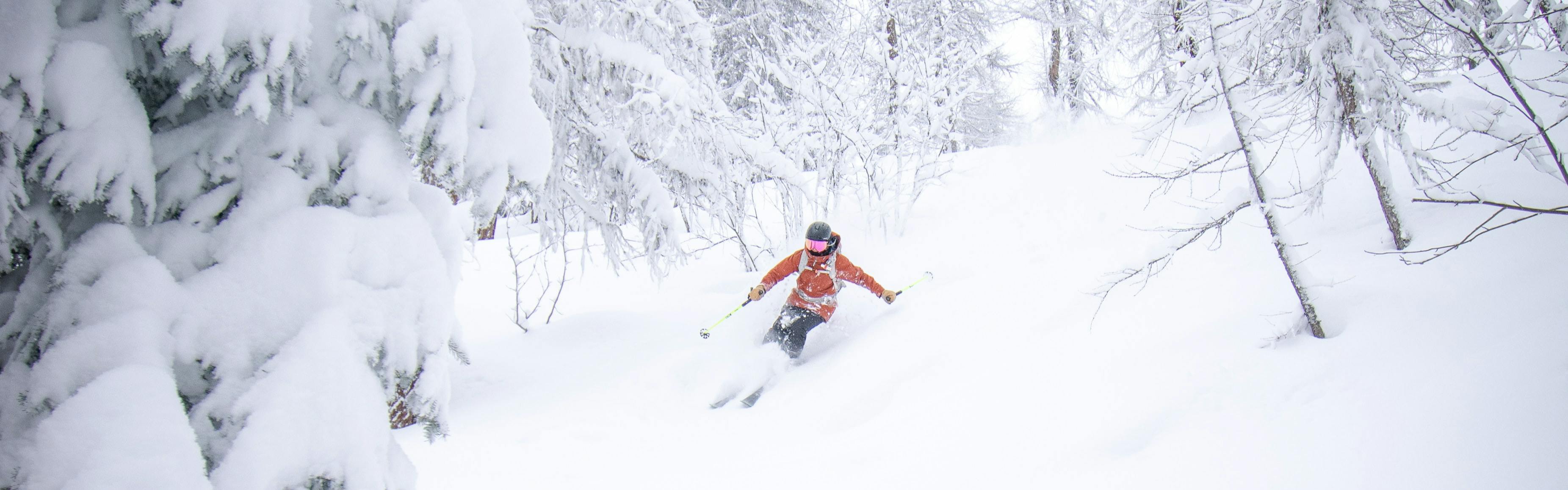 A skier in an orange jacket going down a powder run in a blizzard surrounded by snow covered trees