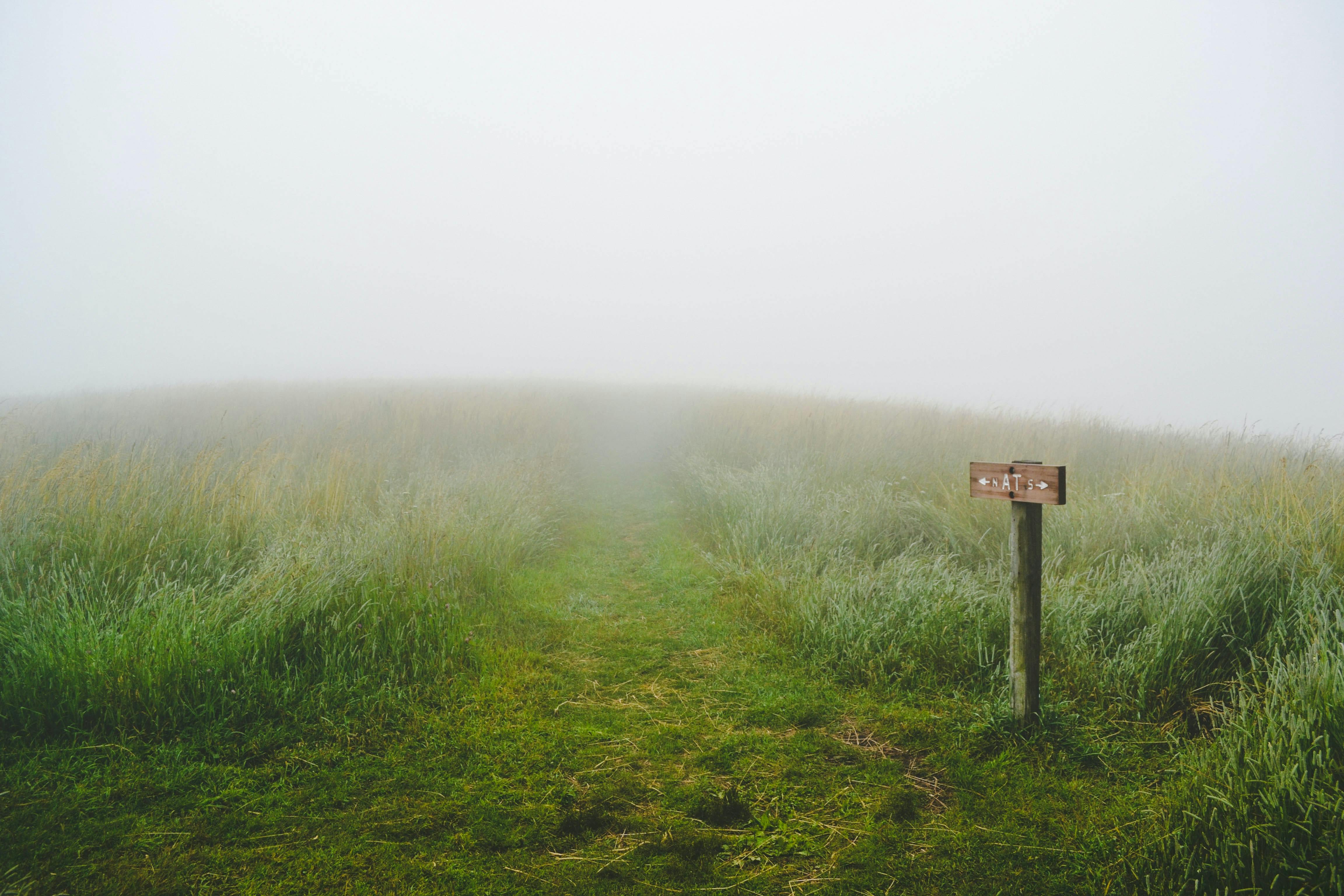 A grassy field in the fog with a wooden "AT" sign in the foreground