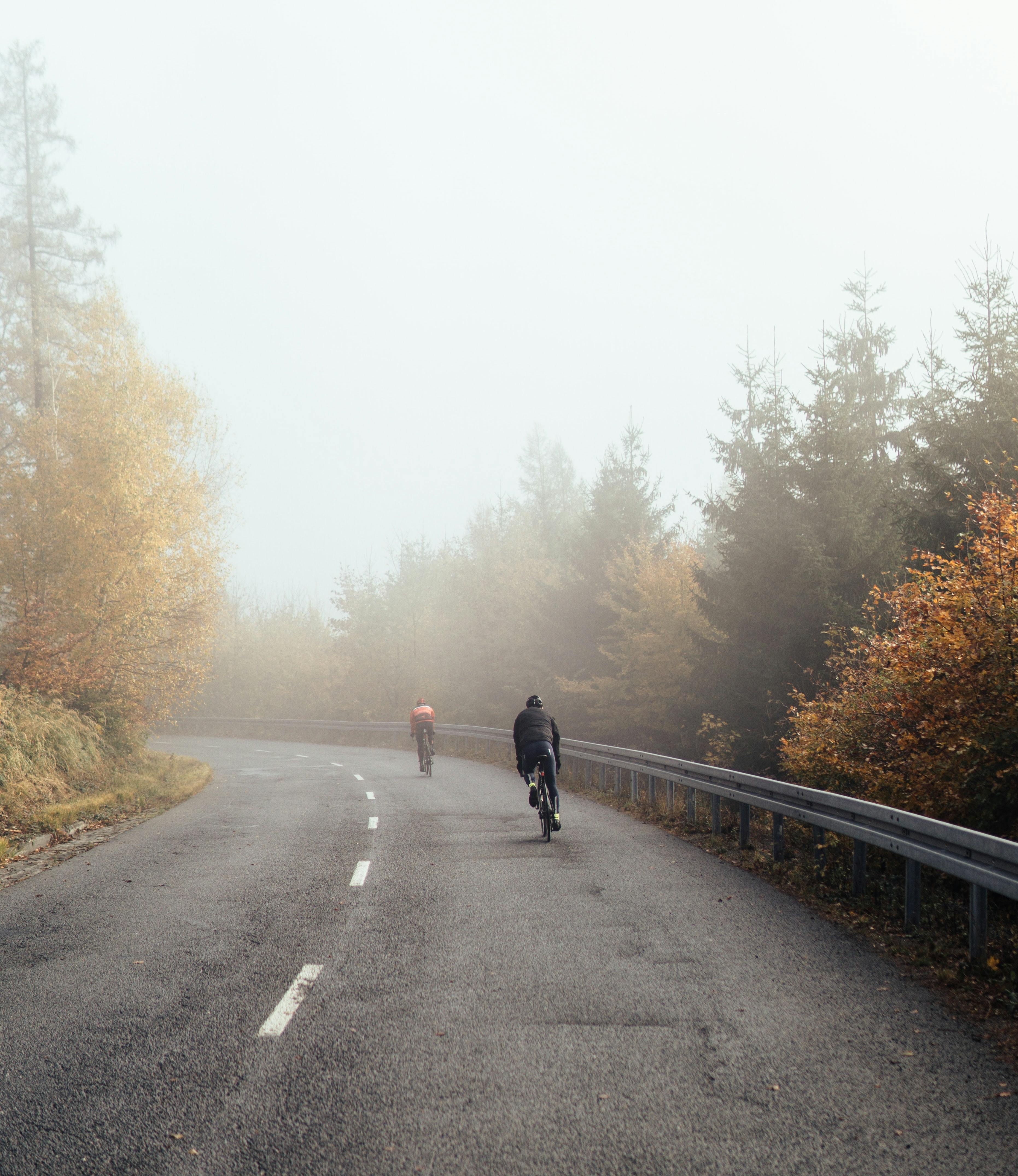 Two road bikers rise into the fog. The trees on the edge of the road are turning color in the fall.