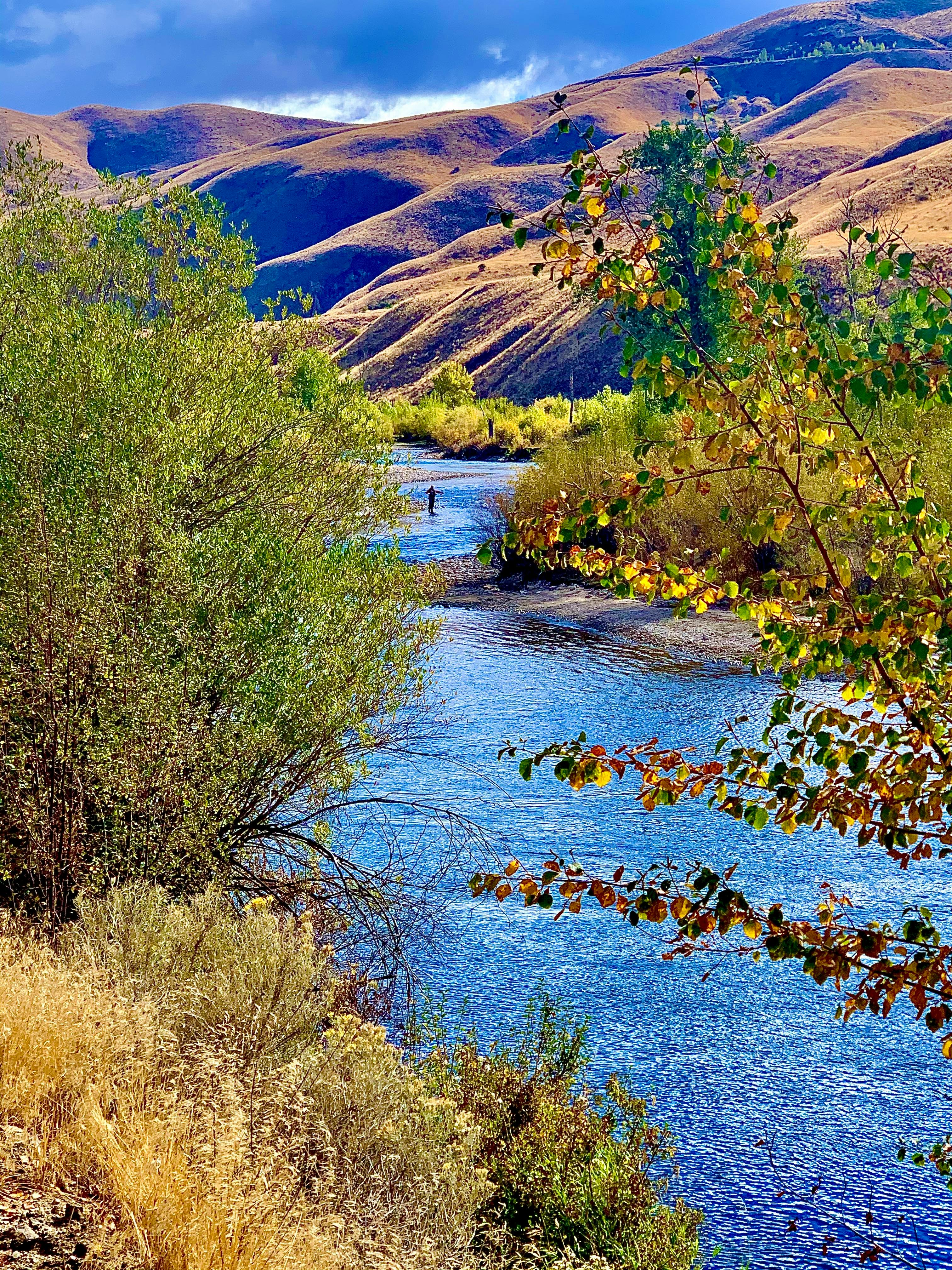A river is running through a mountainous landscape with trees. In the distance you can see a fly fisher in the river.