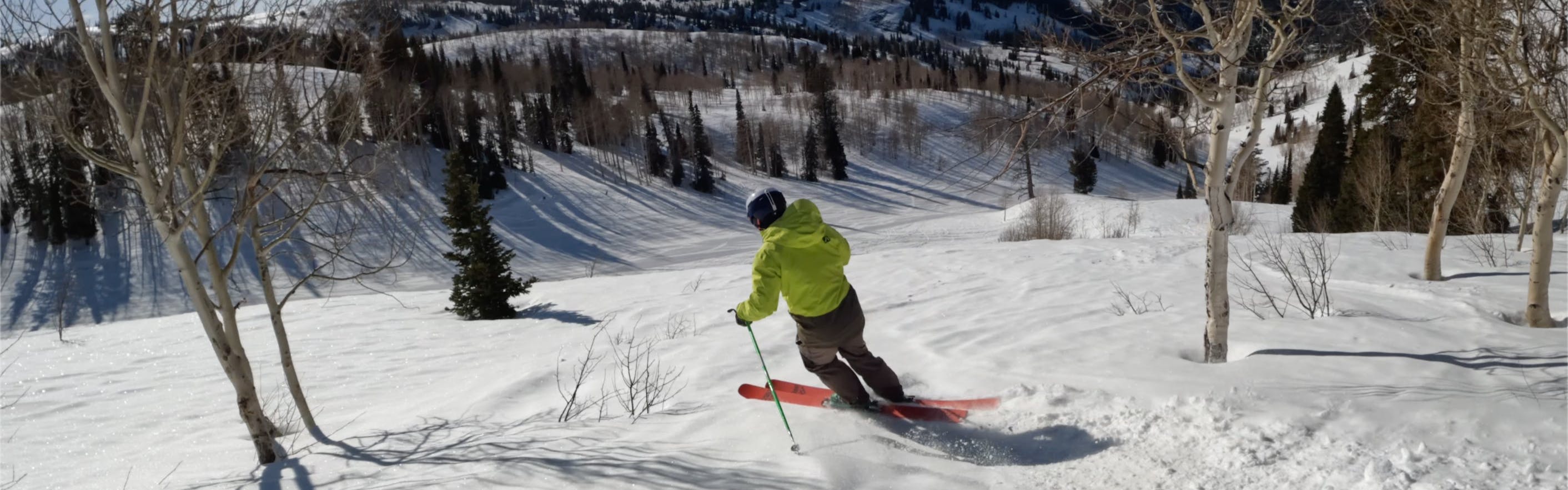 A skier turning on the 2023 Black Crows Camox Freebird Skis.