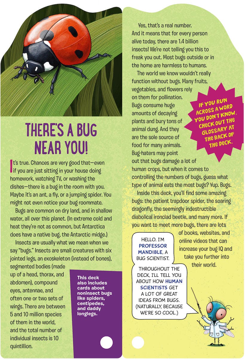 Workman Publishing Fandex Kids: Bugs