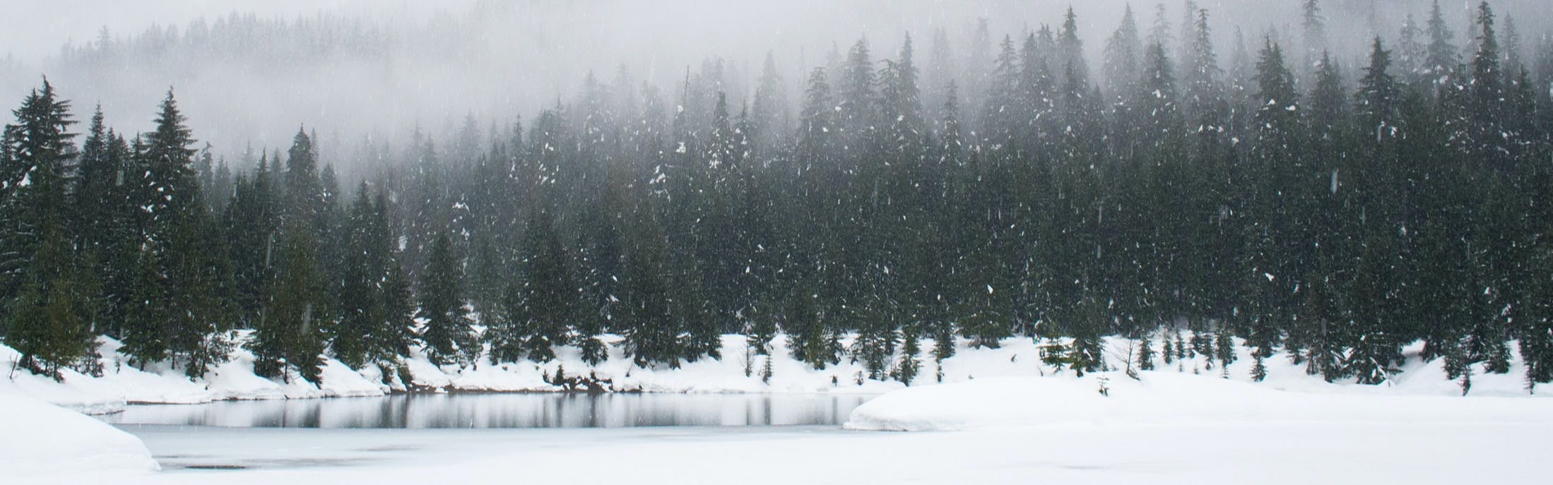Winter blizzard over a forest and frozen lake