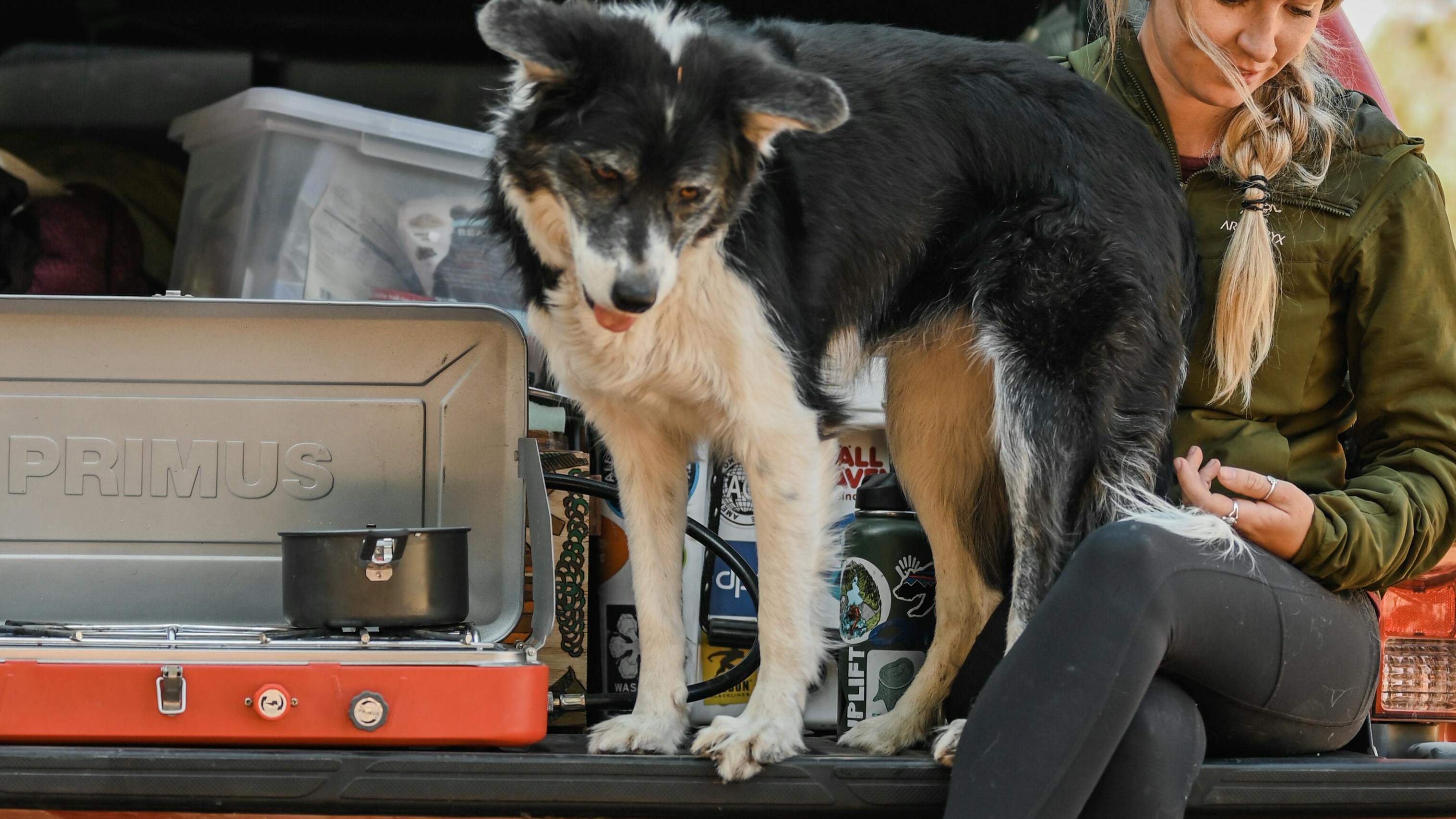 A stove, a dog, and a woman all sit on the tailgate of a truck. There is a pot on the stove.