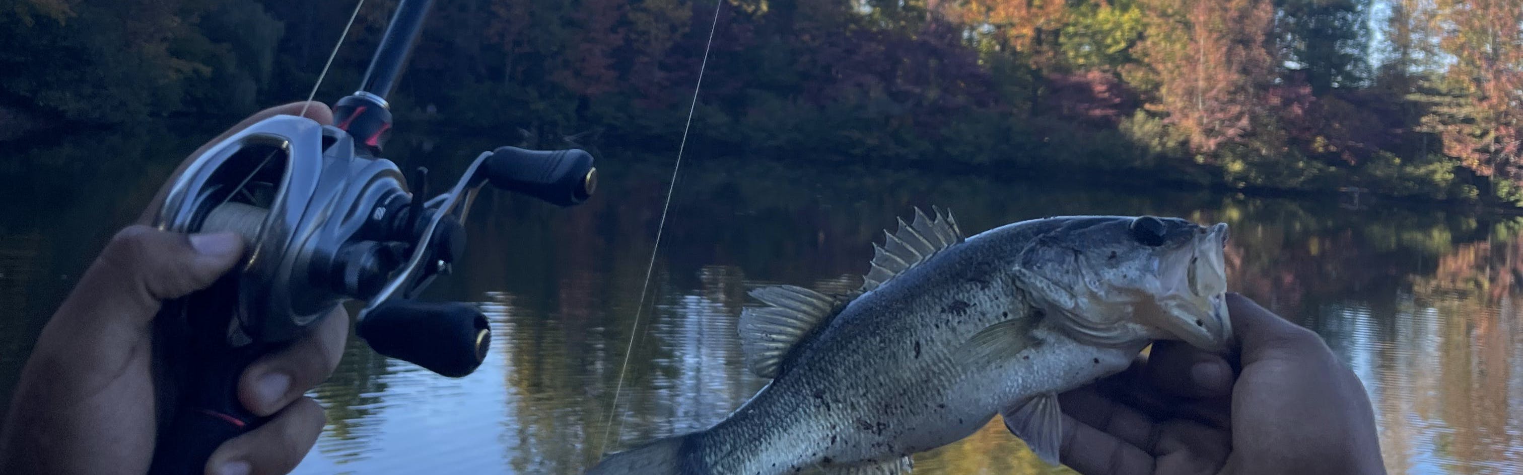 Wilson Fishing – Long Baitcasters