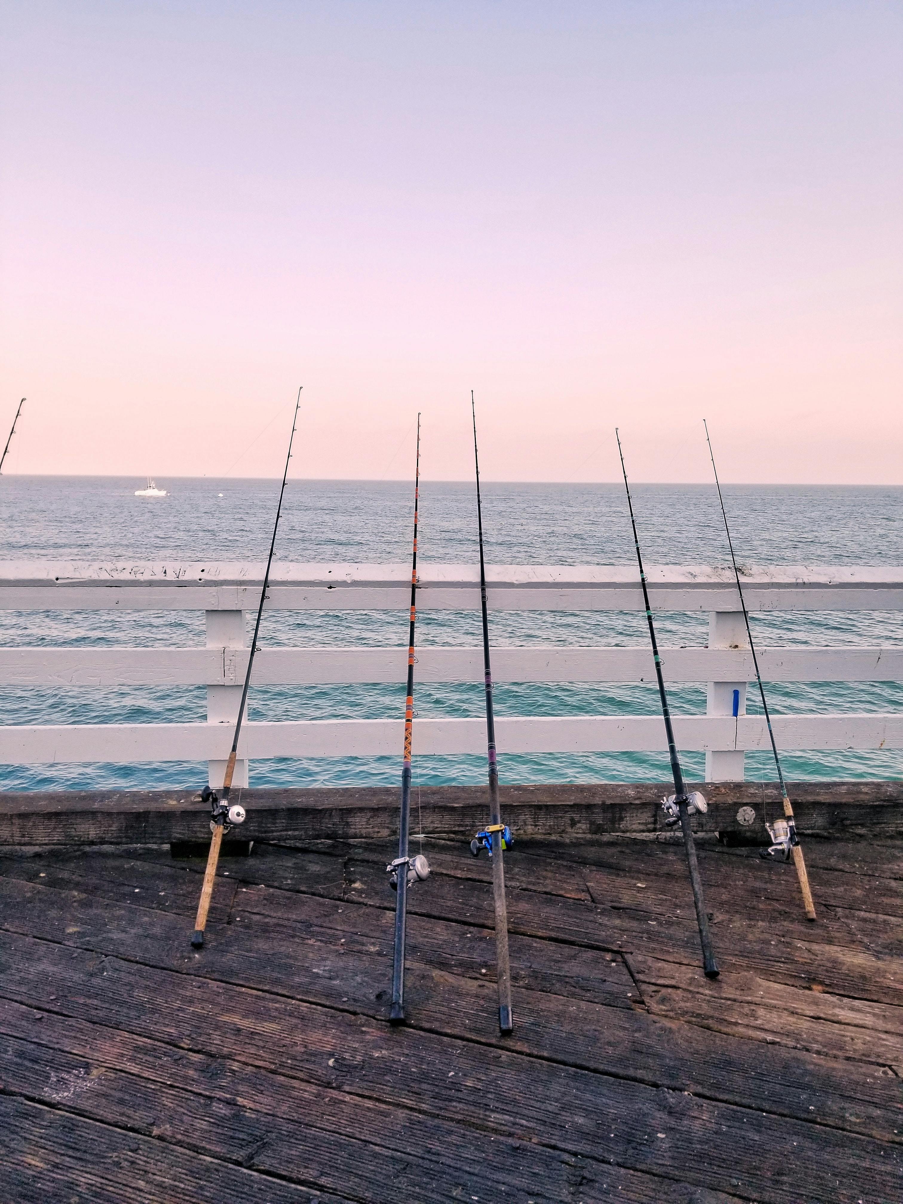Five rods resting on the ground against a white fence at sunset