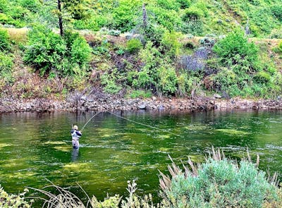 A man in waders fishing in a river.