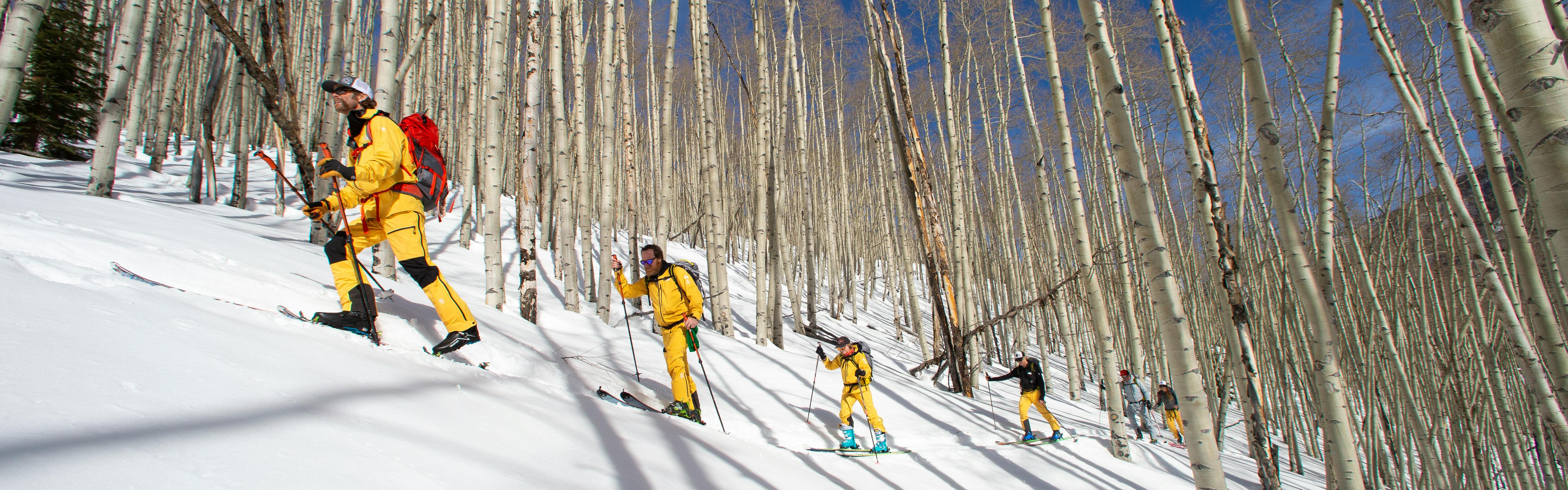 Backcountry skiers hiking up a snowy slope in a forest.