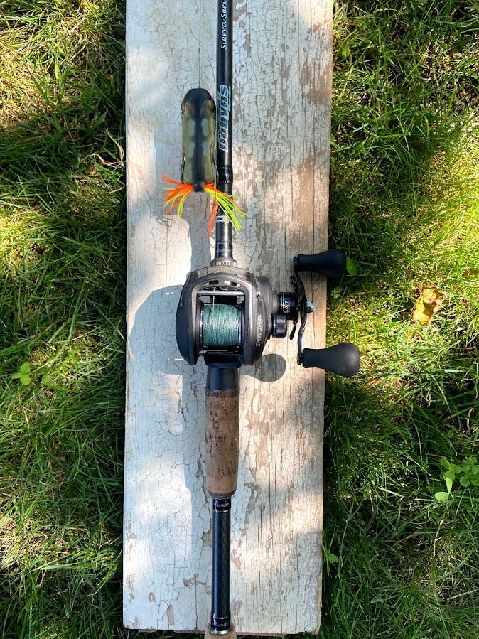 The author's rod and reel set-up sits on a plank of wood. A frog lure is attached to the line. 