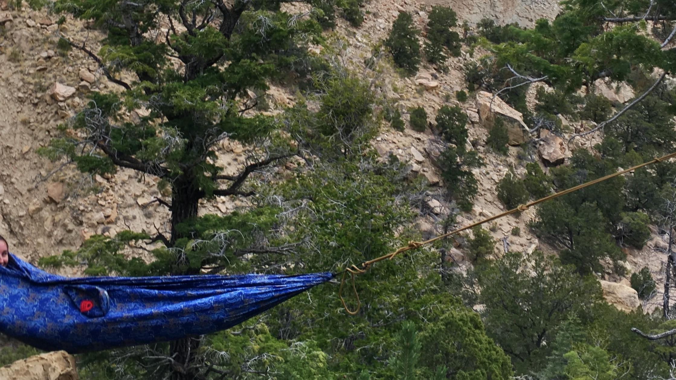 A woman peeks out of a blue hammock which is hanging between two trees.