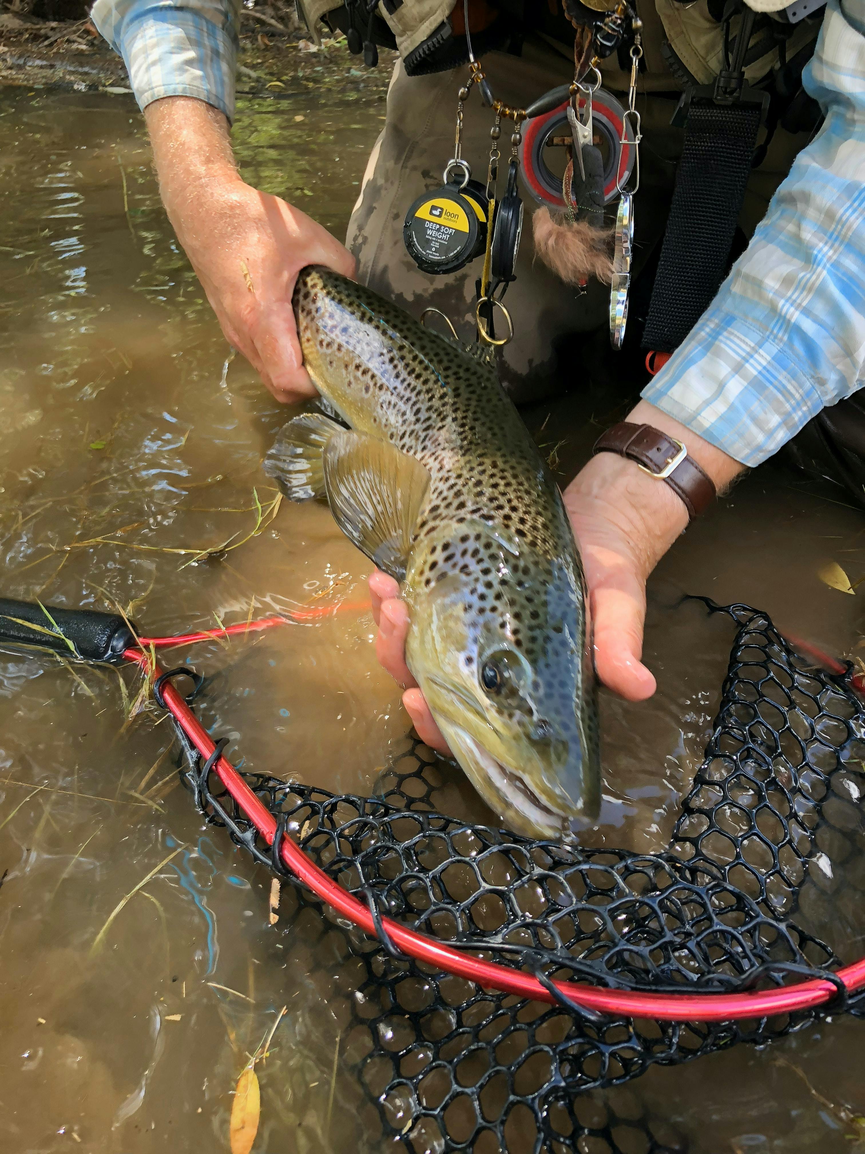 A Nymph System That Works  Fly Fishing Western Wyoming
