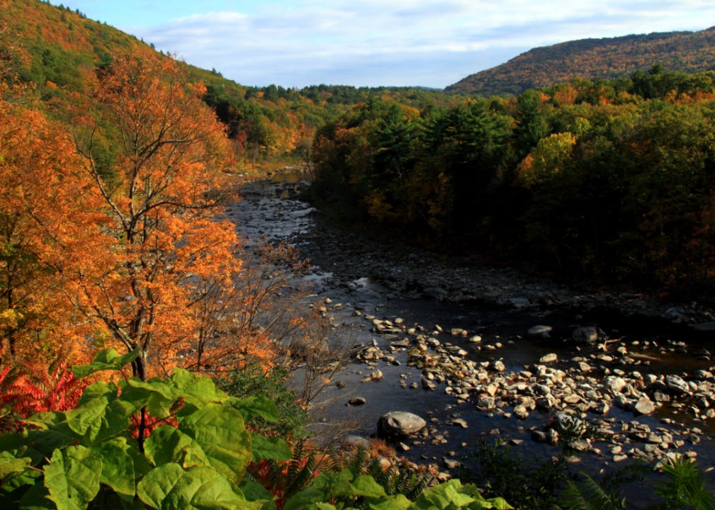 A river lined with autumn-time trees and containing a scattering of rocks