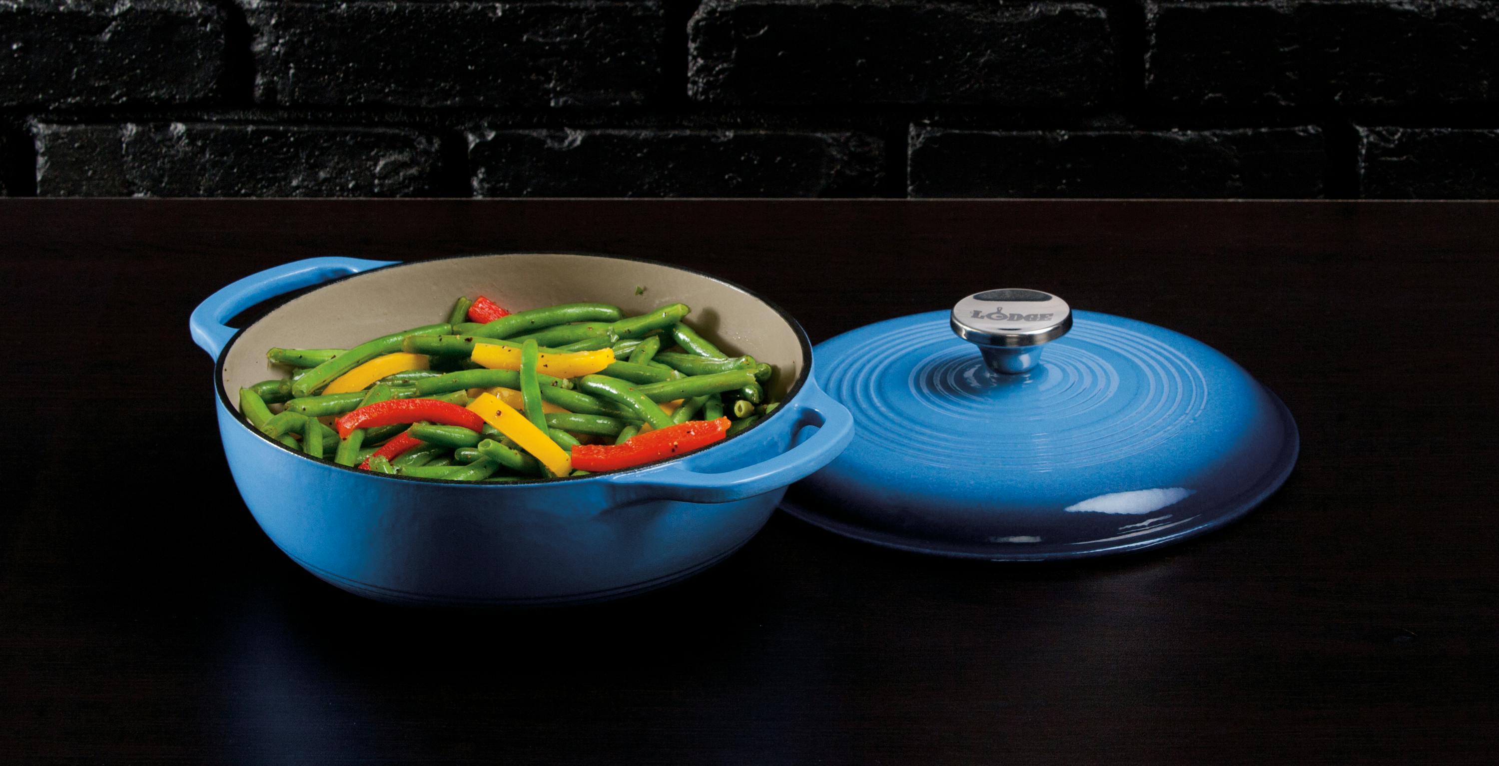 Lodge or Le Creuset ? The unbiased comparison! 