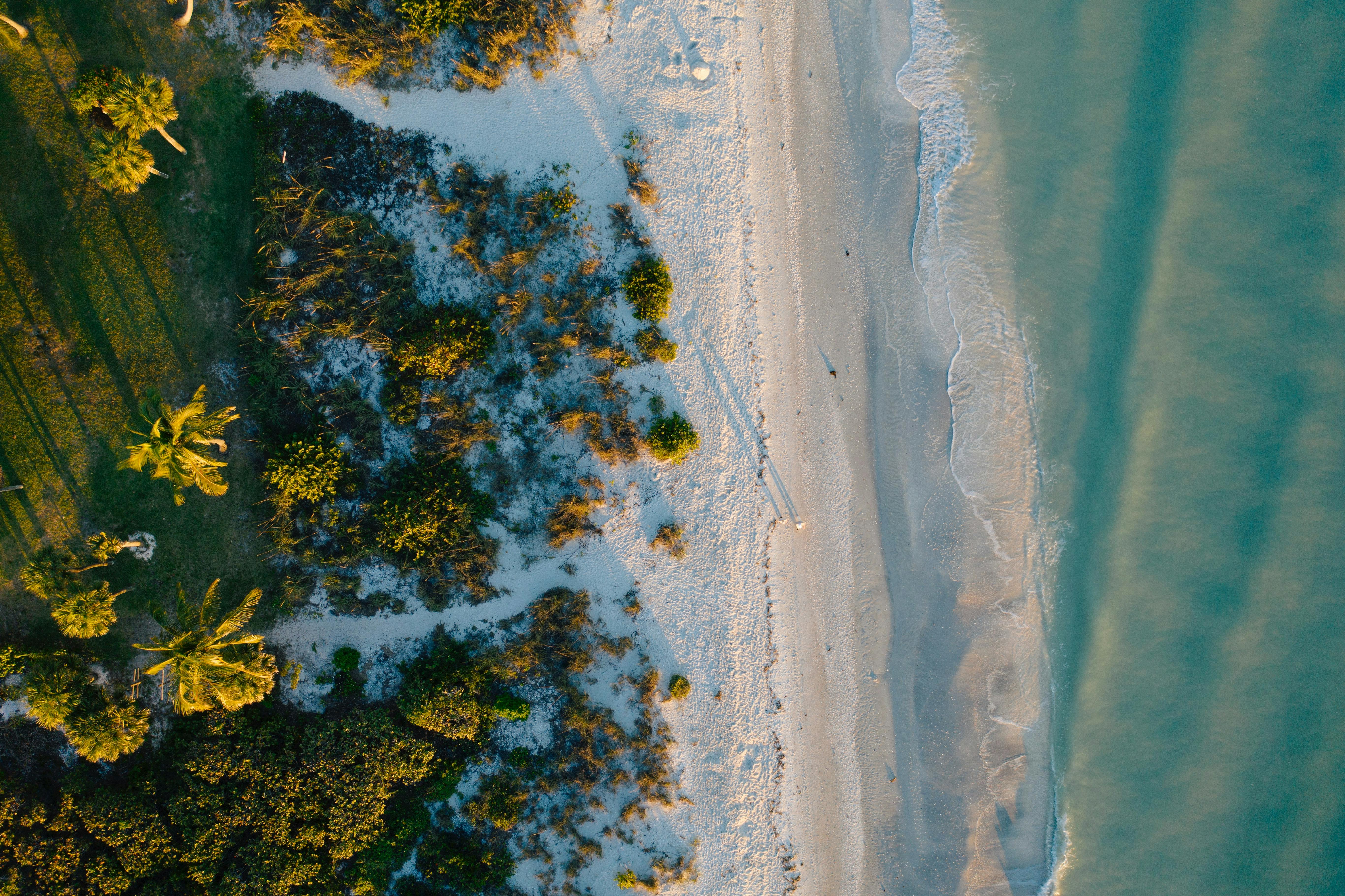 An aerial shot of green grass and palm trees transitioning into shrubs on the beach into sand and then the water.