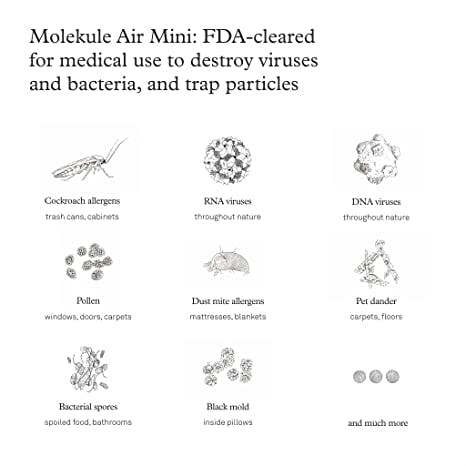 Molekule Air Mini & Air Mini+ PECO Filter