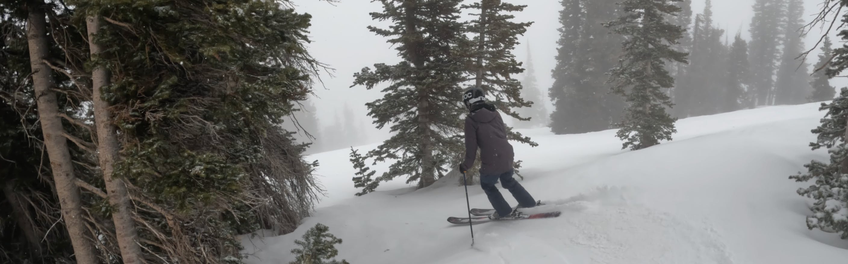 Curated Ski Expert Jessica Whittam skiing the 2023 Atomic Maven 86 skis in the trees in foggy conditions