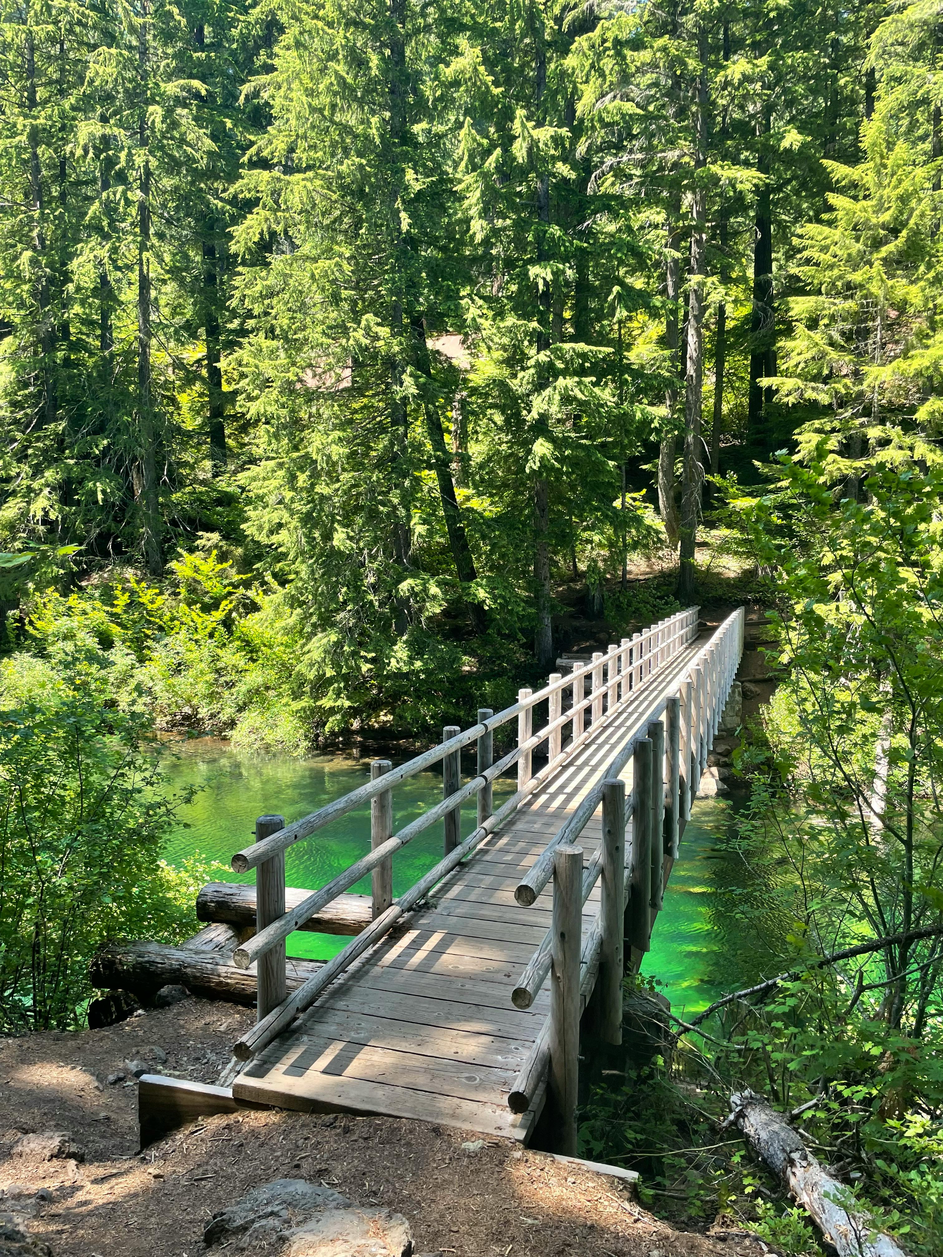 A wooden bridge goes over shockingly green and clear water with pine trees all around.