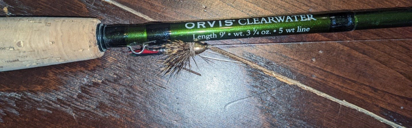 Orvis Clearwater Fly Rod Series - Big Game and Saltwater - AvidMax